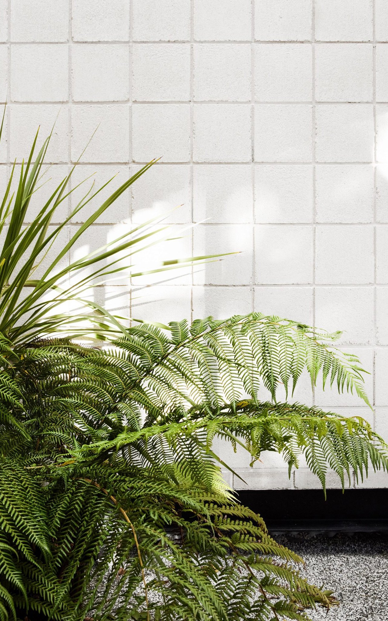 Architectural design，house，residence，Lattice Wood Roof，Lebanese Cedar Tree，