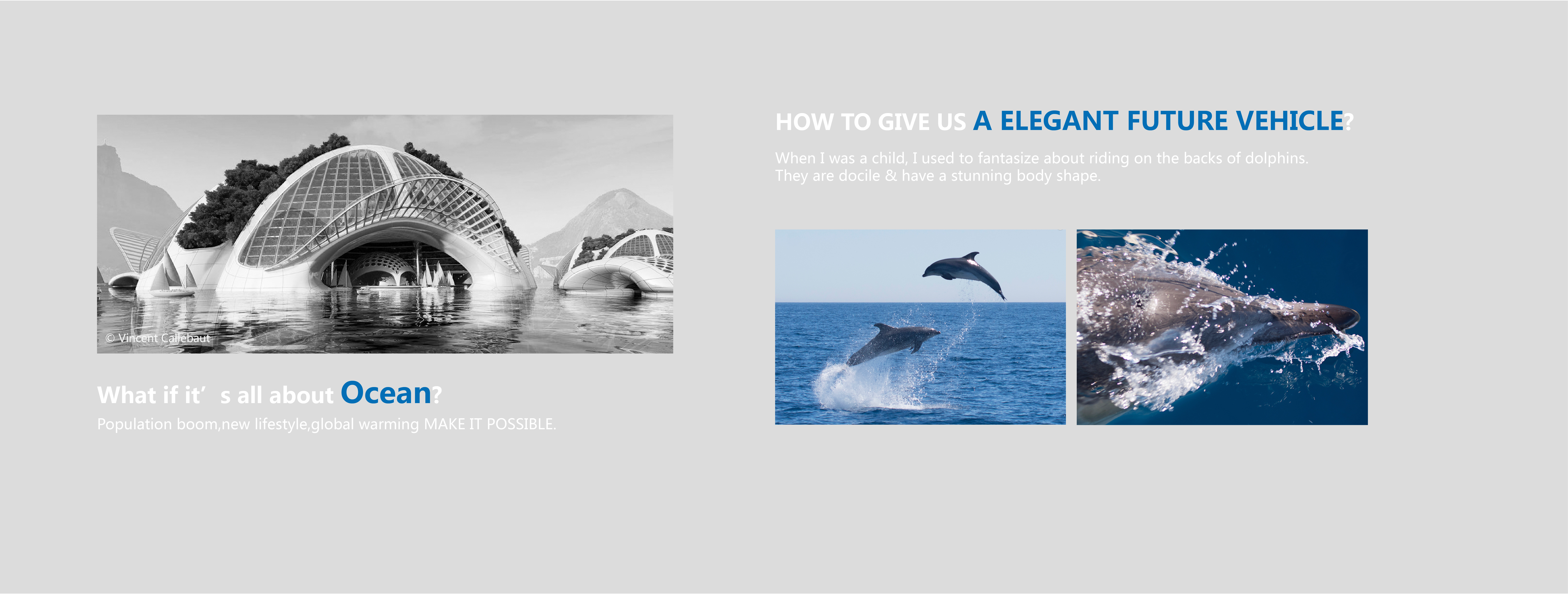 The Yacht Concept，