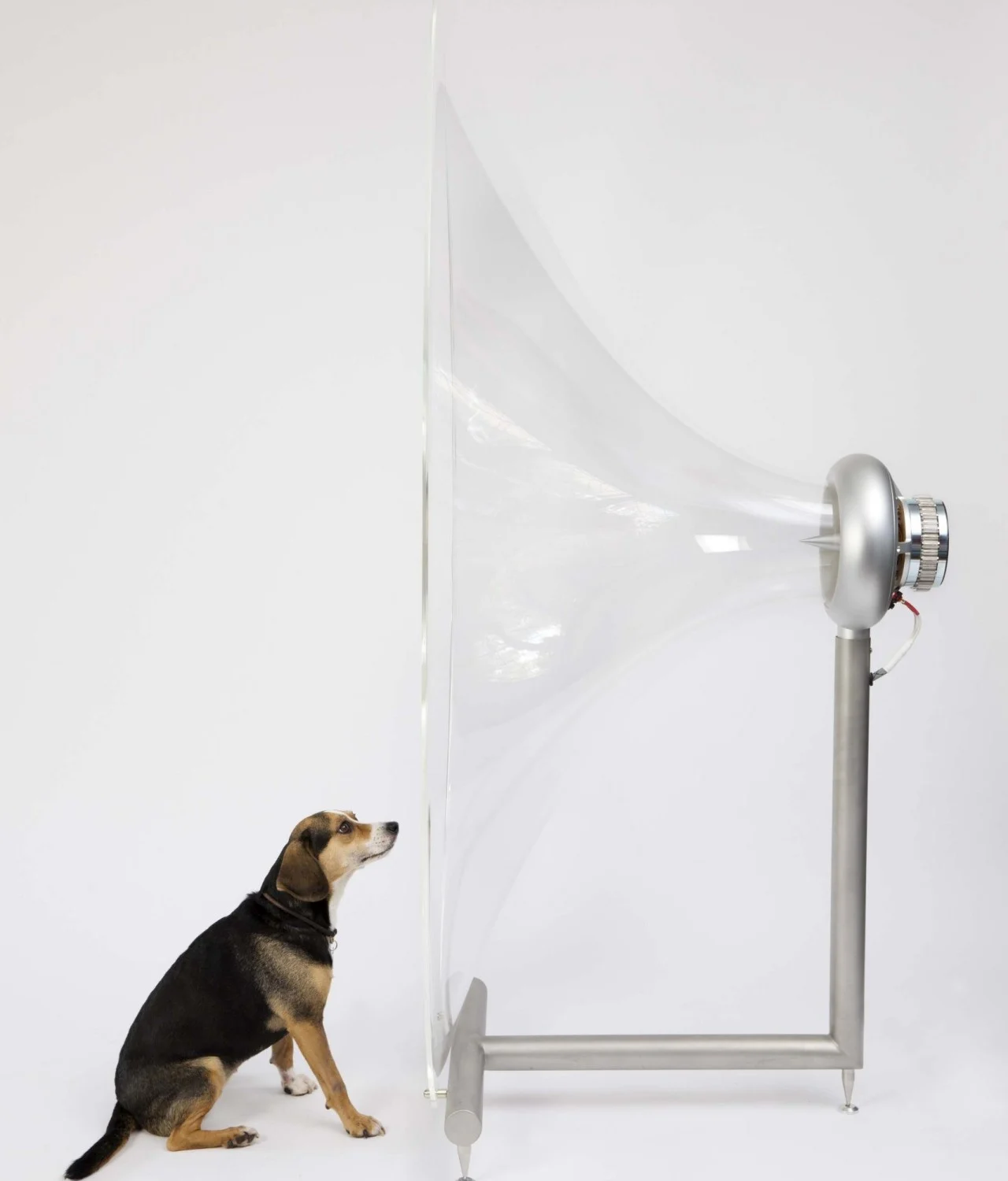 sound，speaker，Funny furniture.，music，