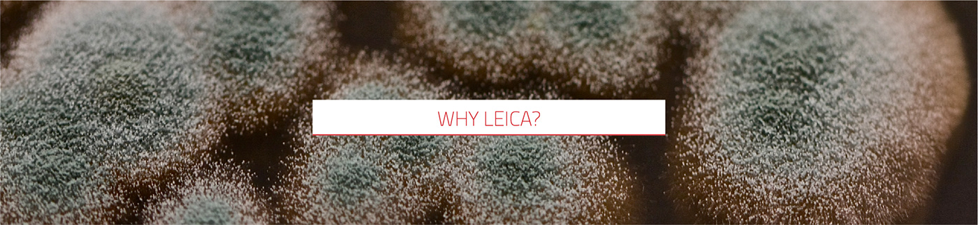 Yellow，thermometer，temperature measurement ，