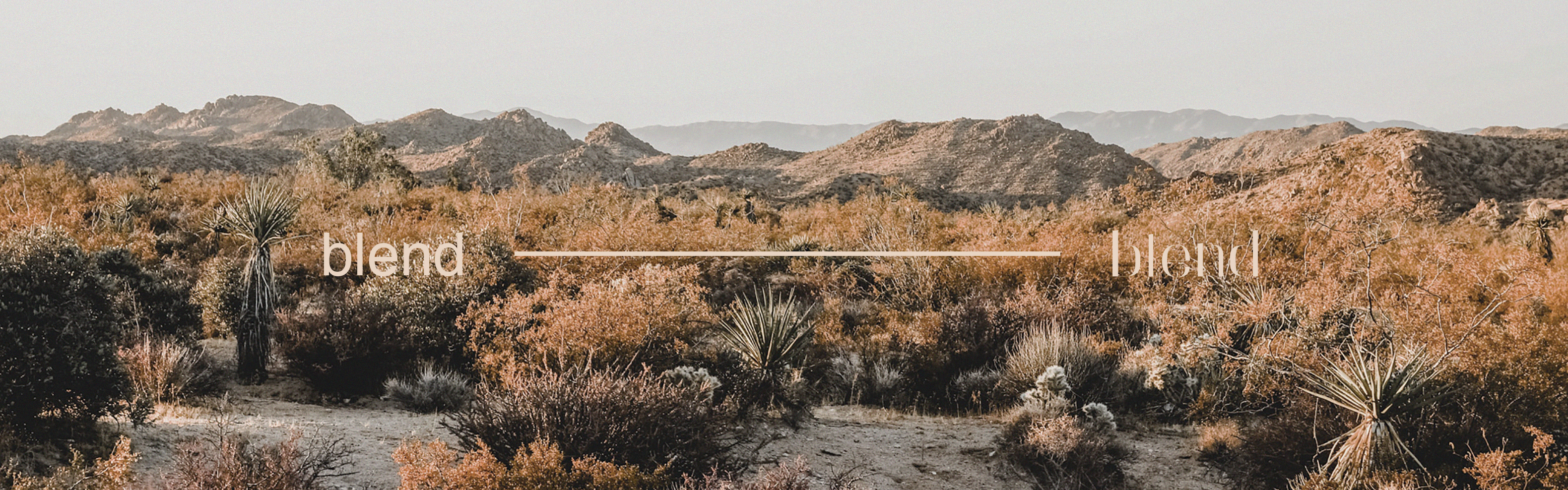 life，household electrical appliances，Natural harmony，BLEND，