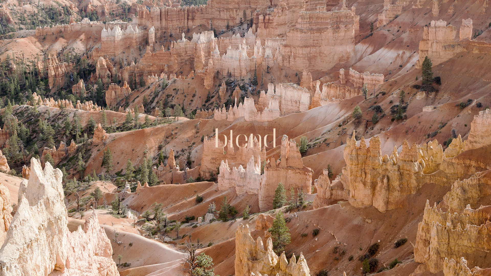 life，household electrical appliances，Natural harmony，BLEND，