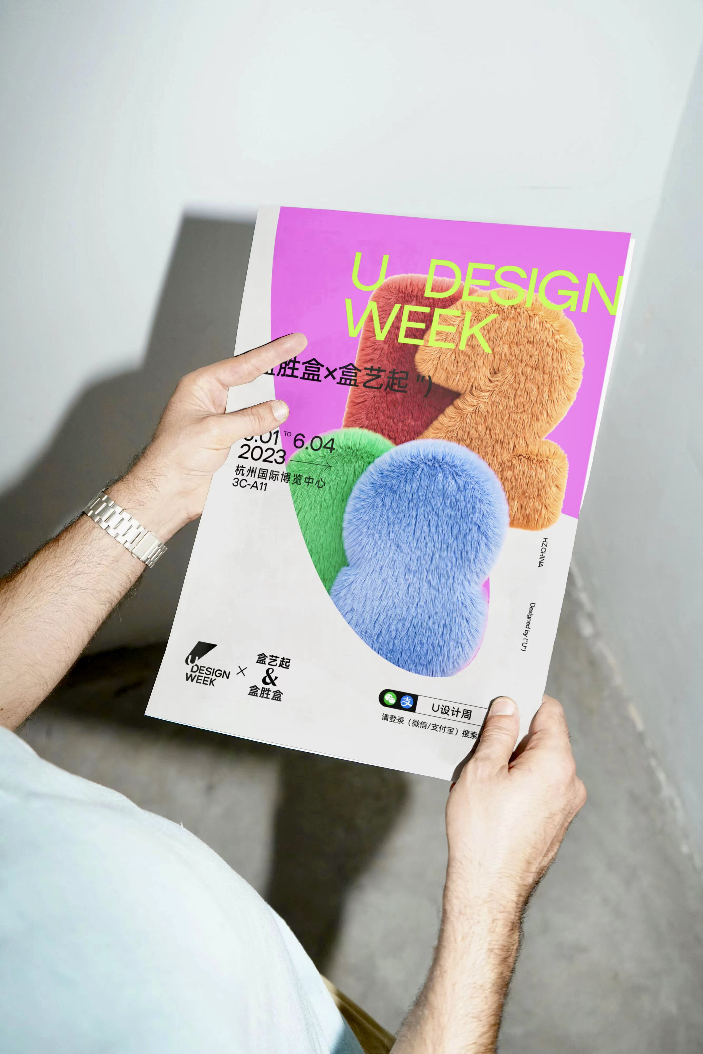 brand design, visual, vi, poster, art exhibition，