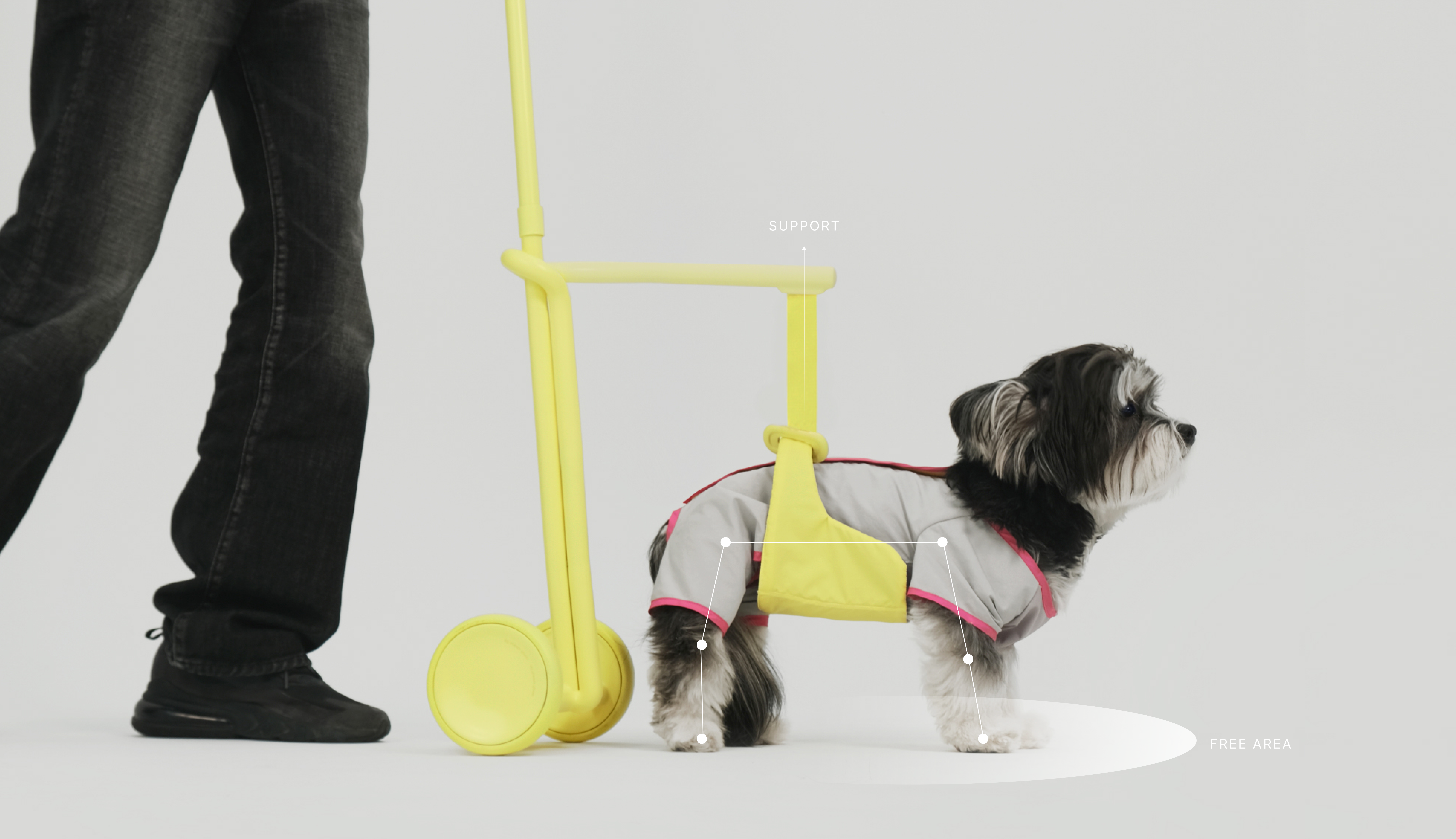 product design，product，dog，Pets，dog，Walking aid，