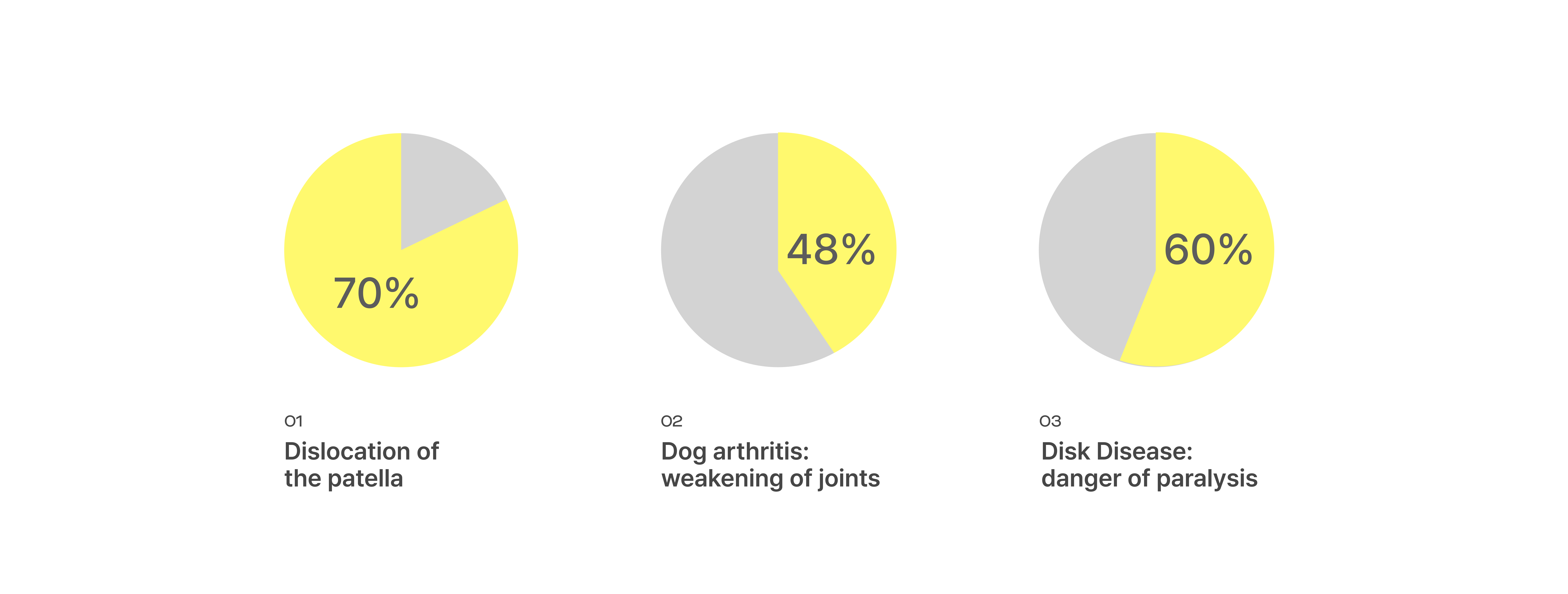 product design，product，dog，Pets，dog，Walking aid，