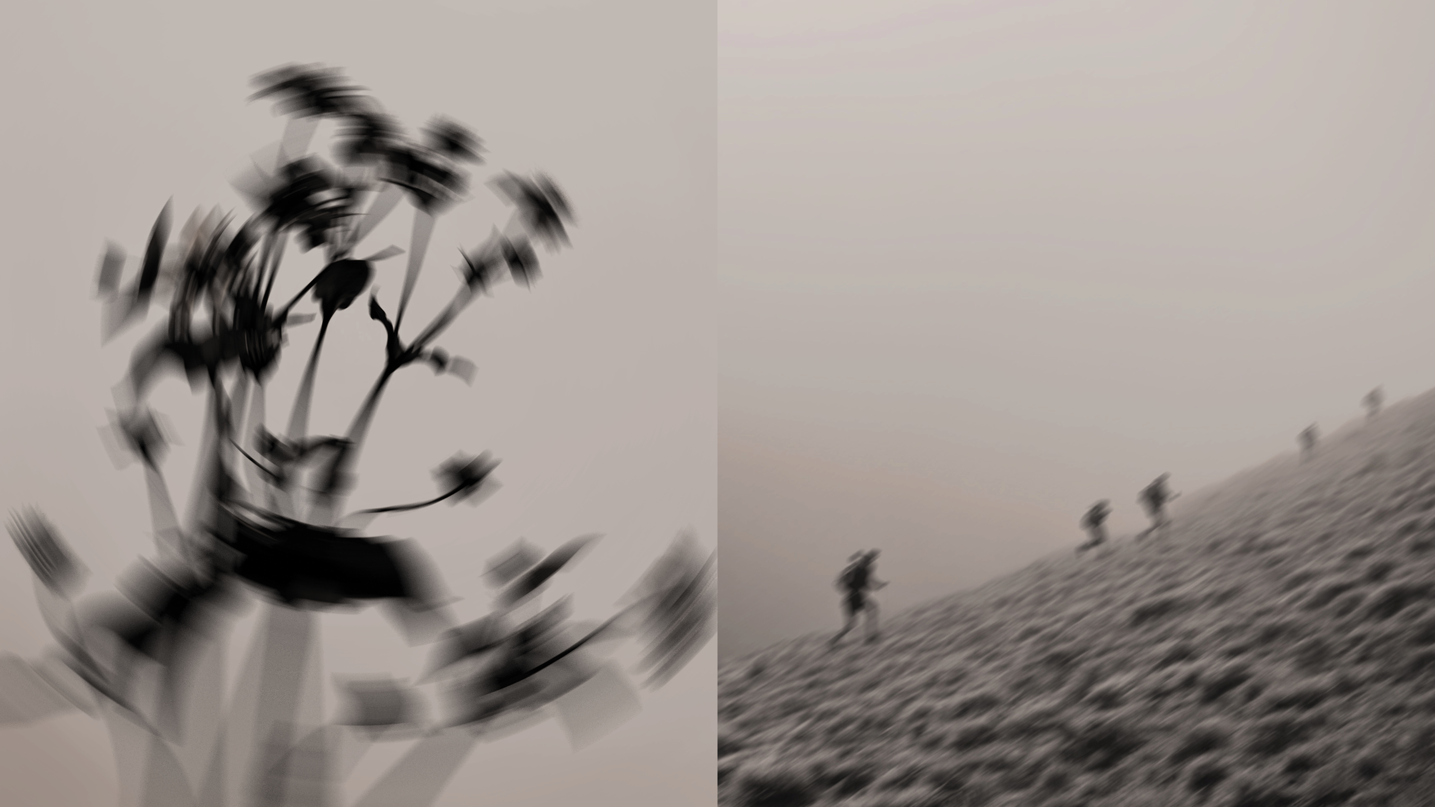 shoes，product design，product，horizon，Design，cgi，fashion，