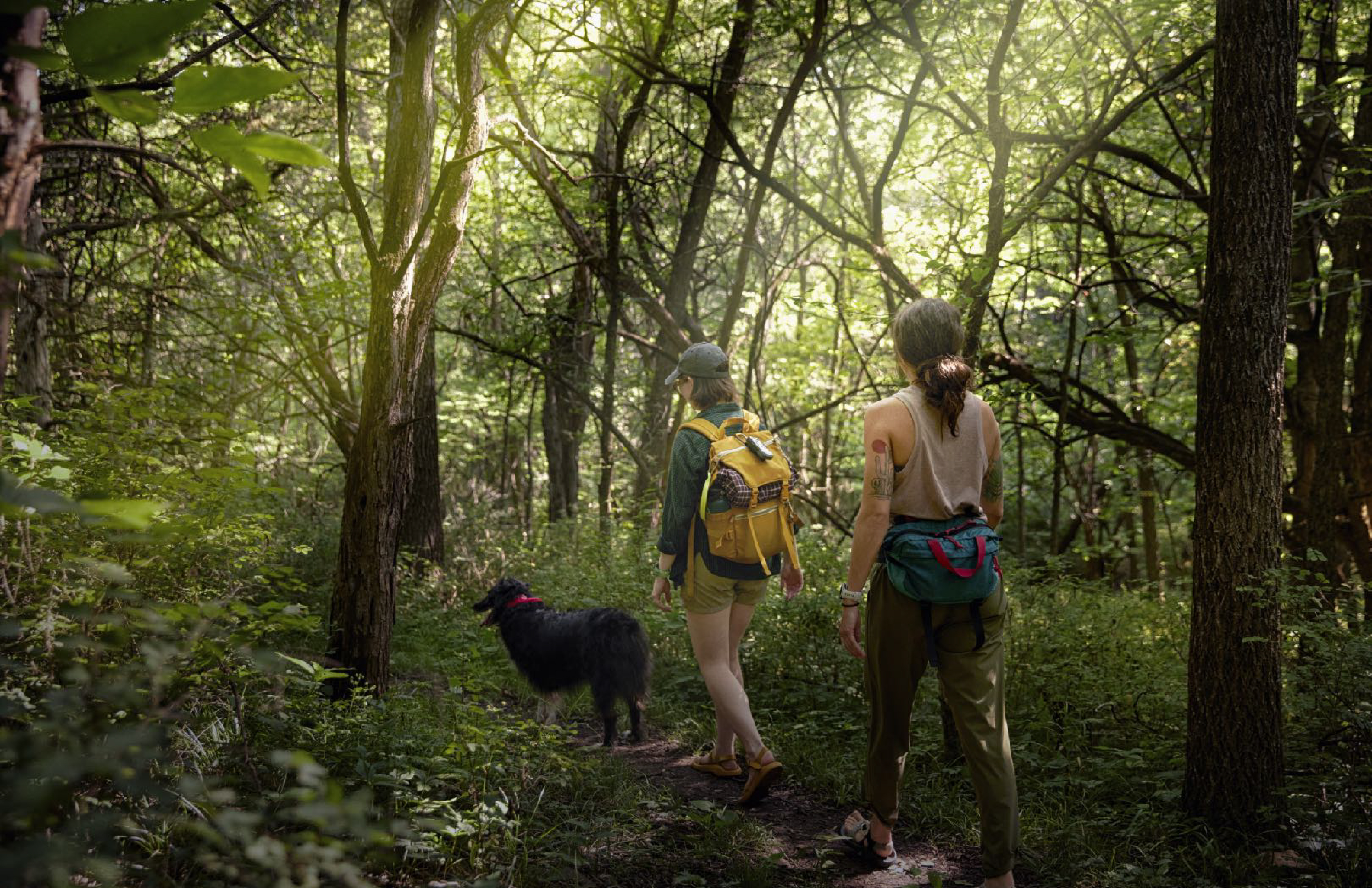 industrial design，product design，gps，outdoors，product，