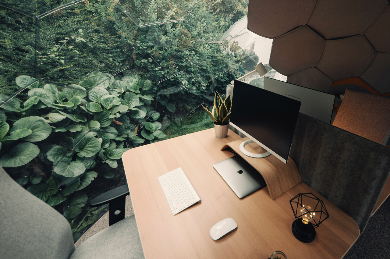 domes，enjoy，nature，office，