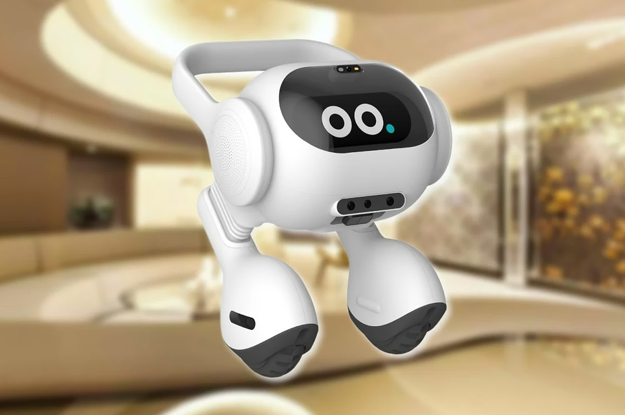 Zero Labor Home，robot，learning to understand，
