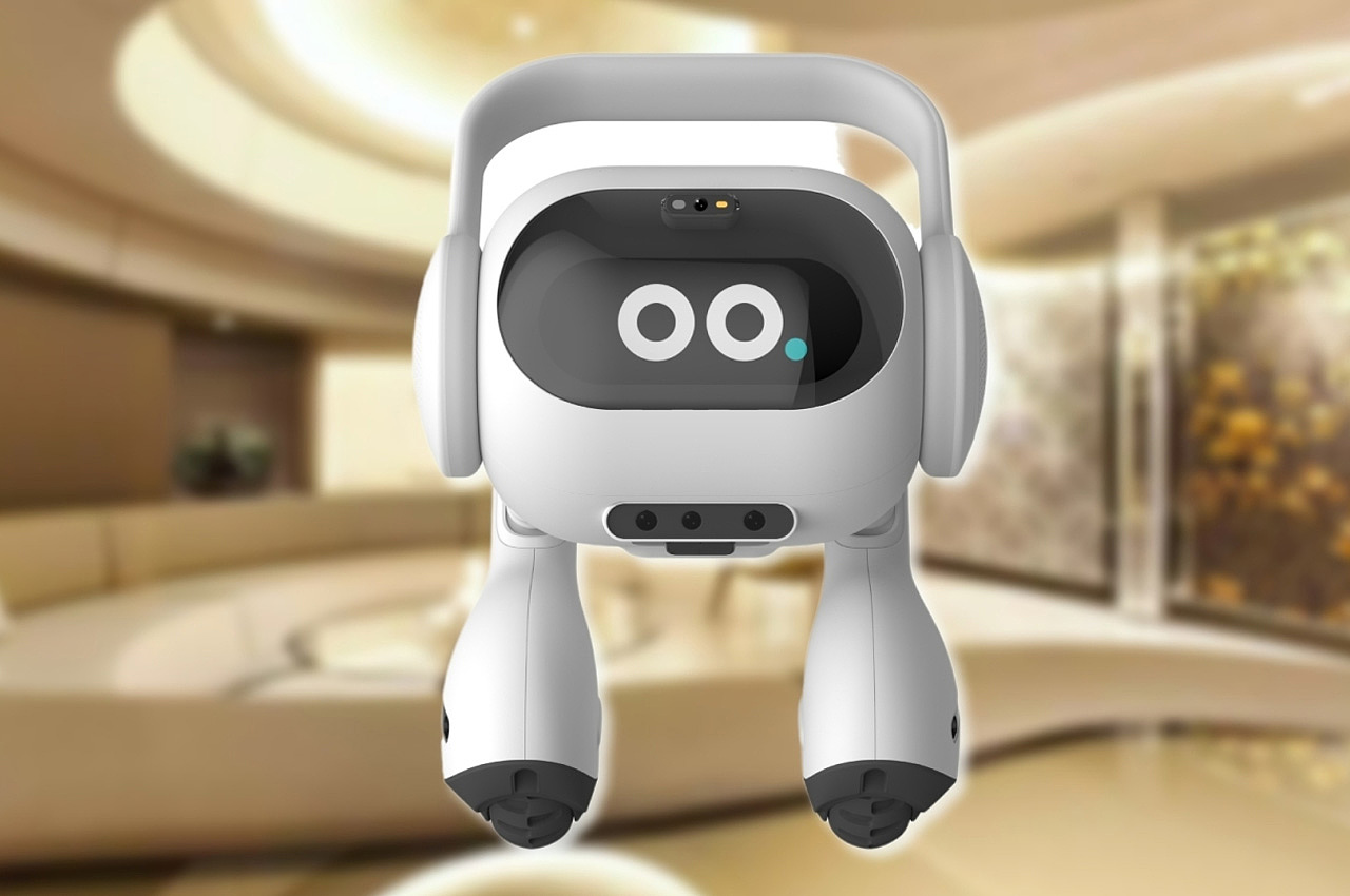 Zero Labor Home，robot，learning to understand，