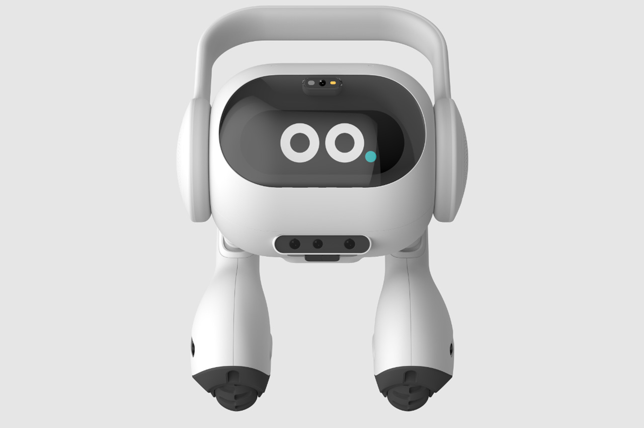 Zero Labor Home，robot，learning to understand，