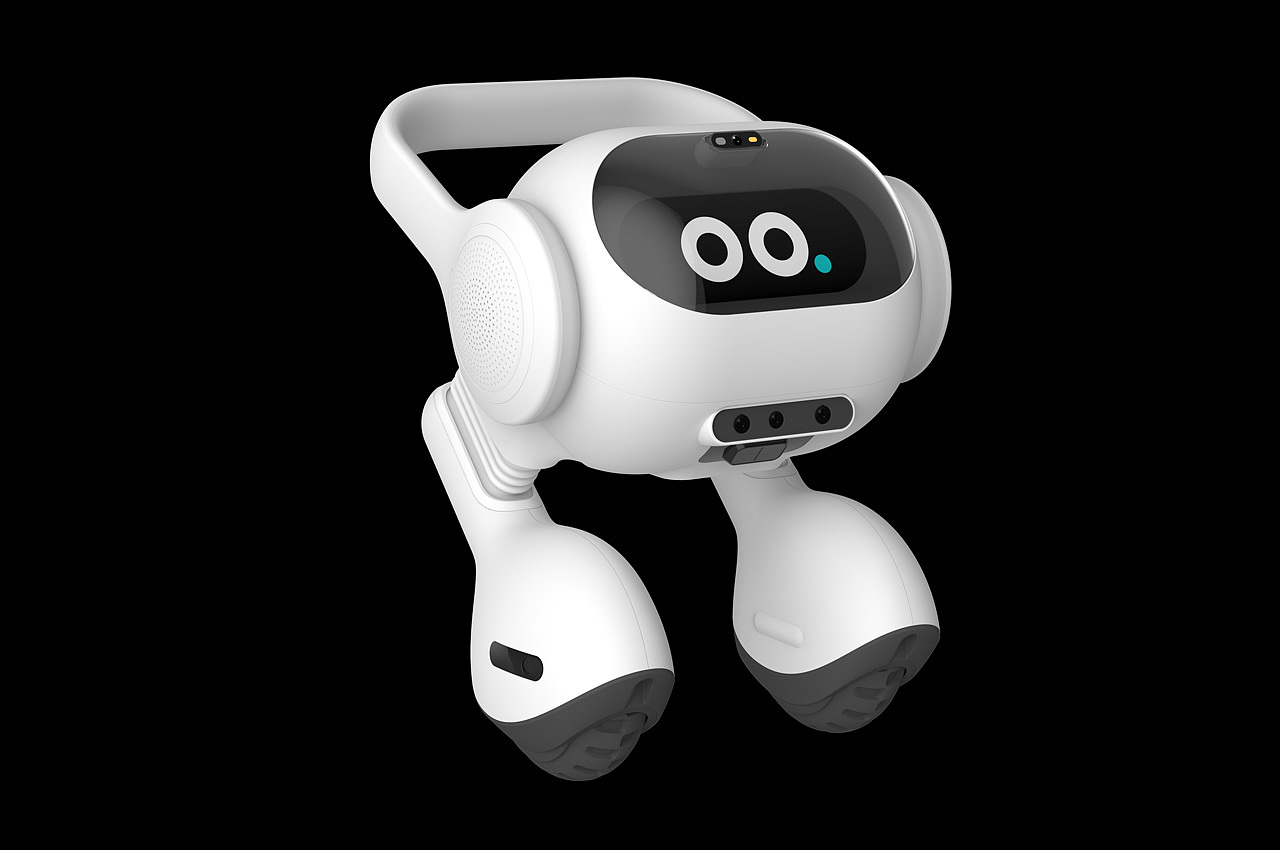 Zero Labor Home，robot，learning to understand，