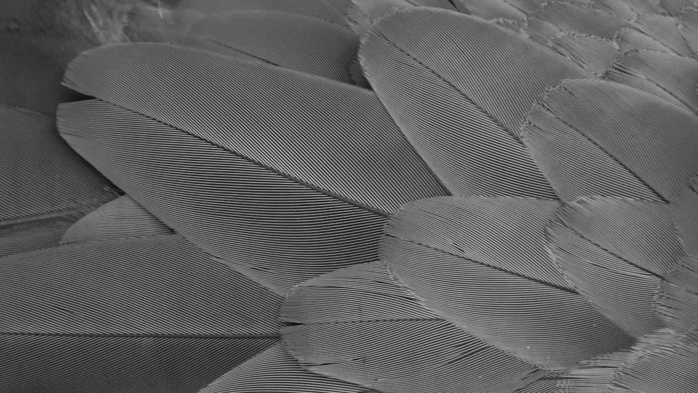 plume，vr，Virtual travel，product design，VR glasses，