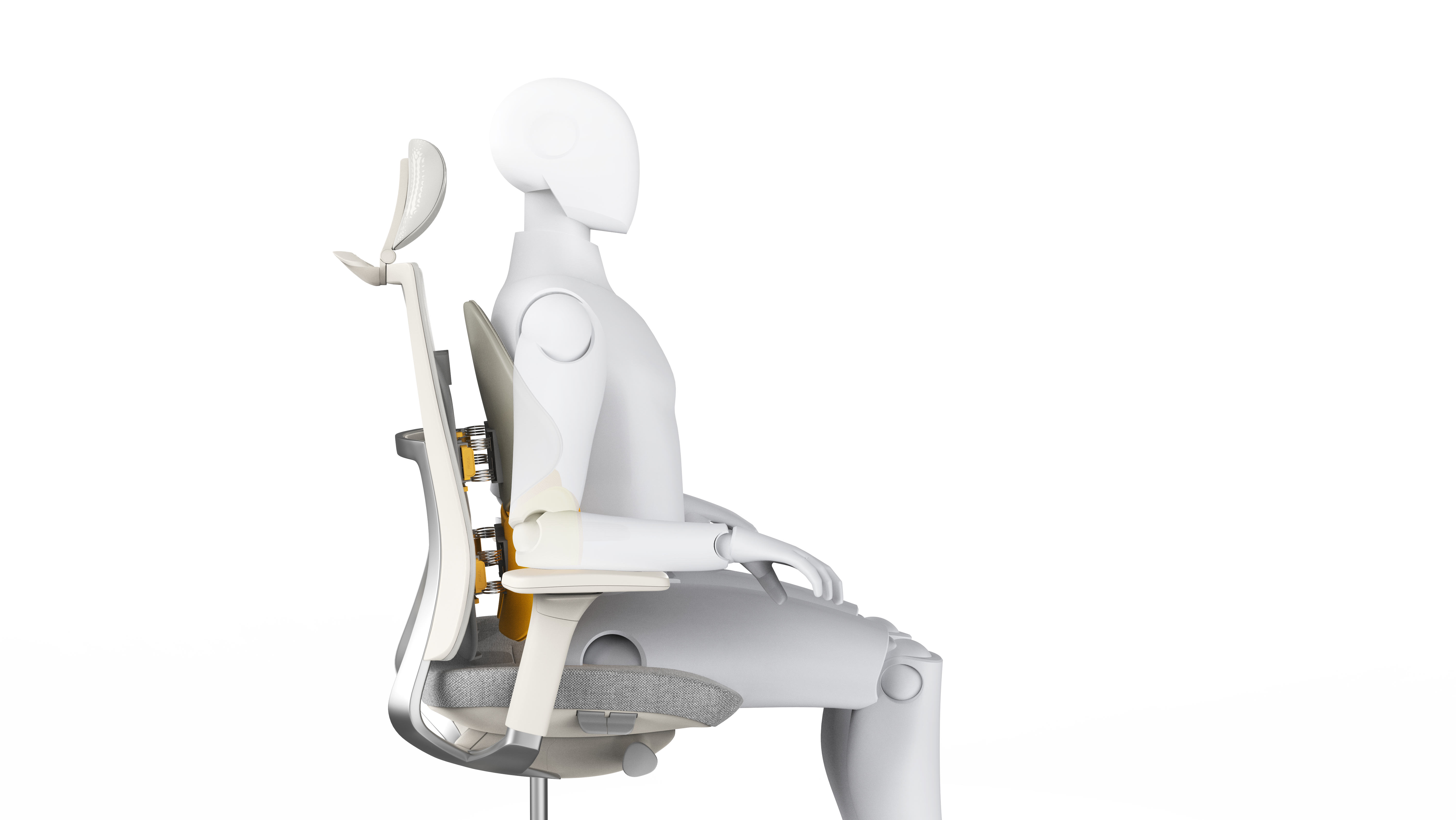 Ergonomics，Waist，