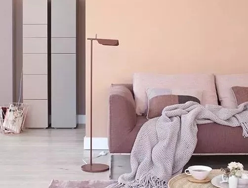 Dulux，cozy，Warm wood brown，Flower room table，lamps and lanterns，sofa，