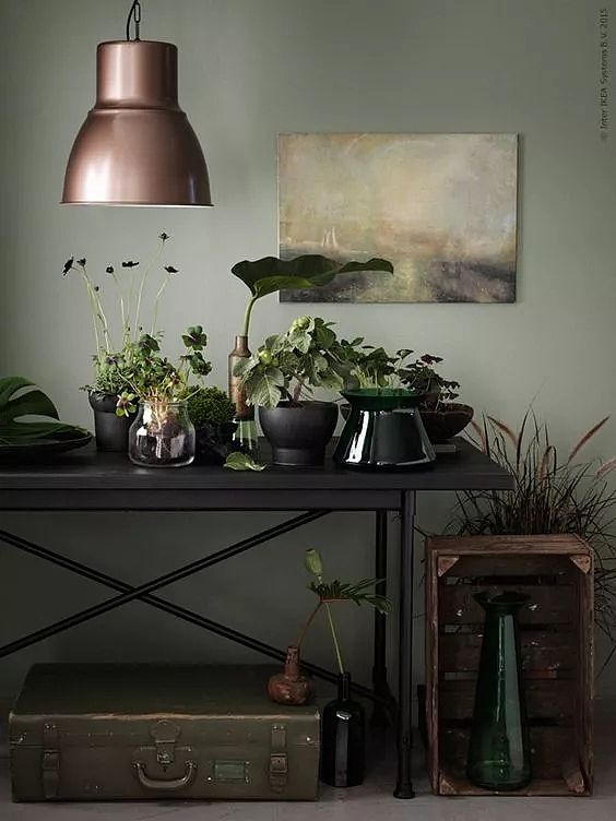 Dulux，cozy，Warm wood brown，Flower room table，lamps and lanterns，sofa，