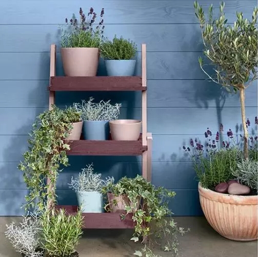 Dulux，cozy，Warm wood brown，Flower room table，lamps and lanterns，sofa，