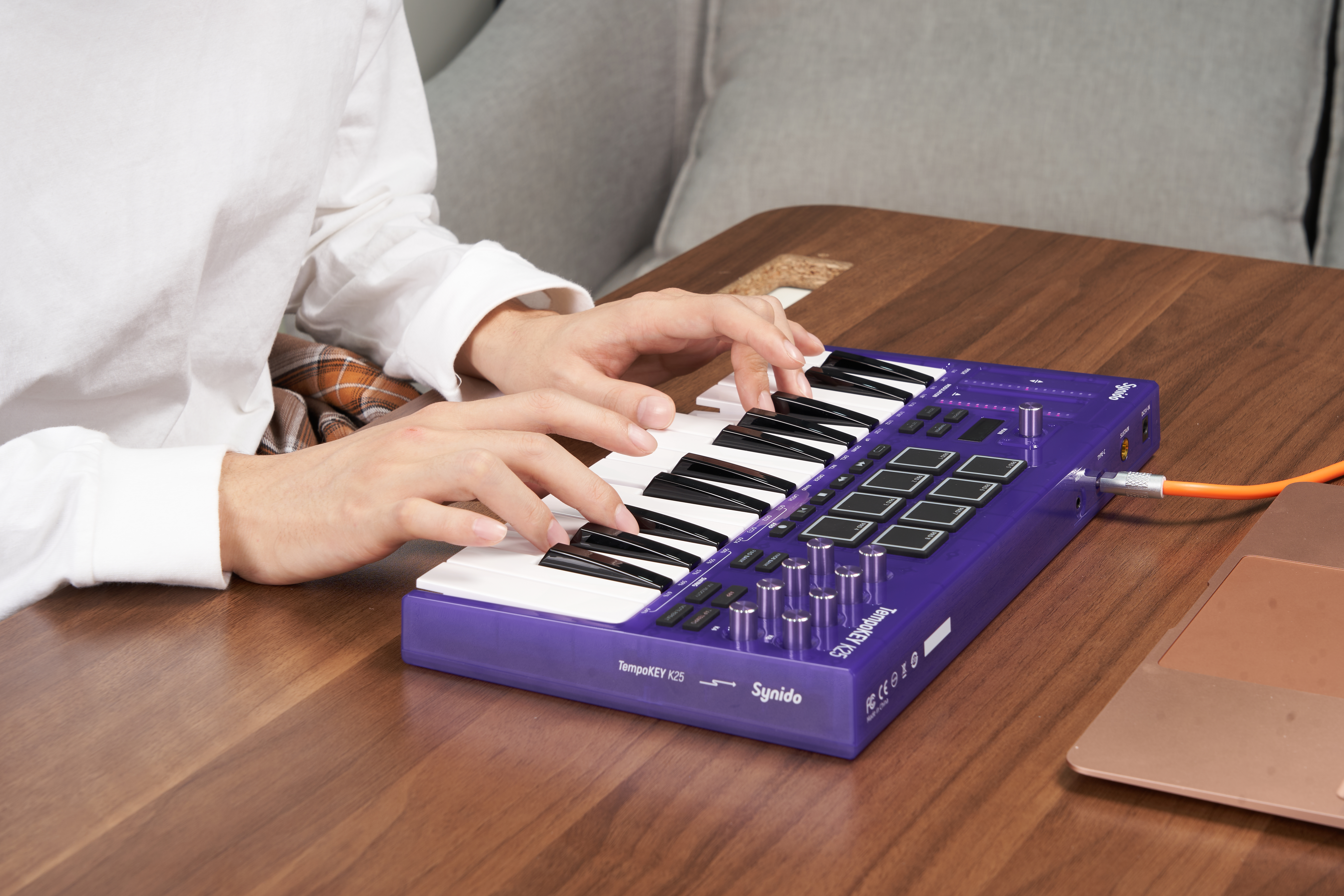 MIDI keyboard，Tide play，Synthesizer，Arranger，music，