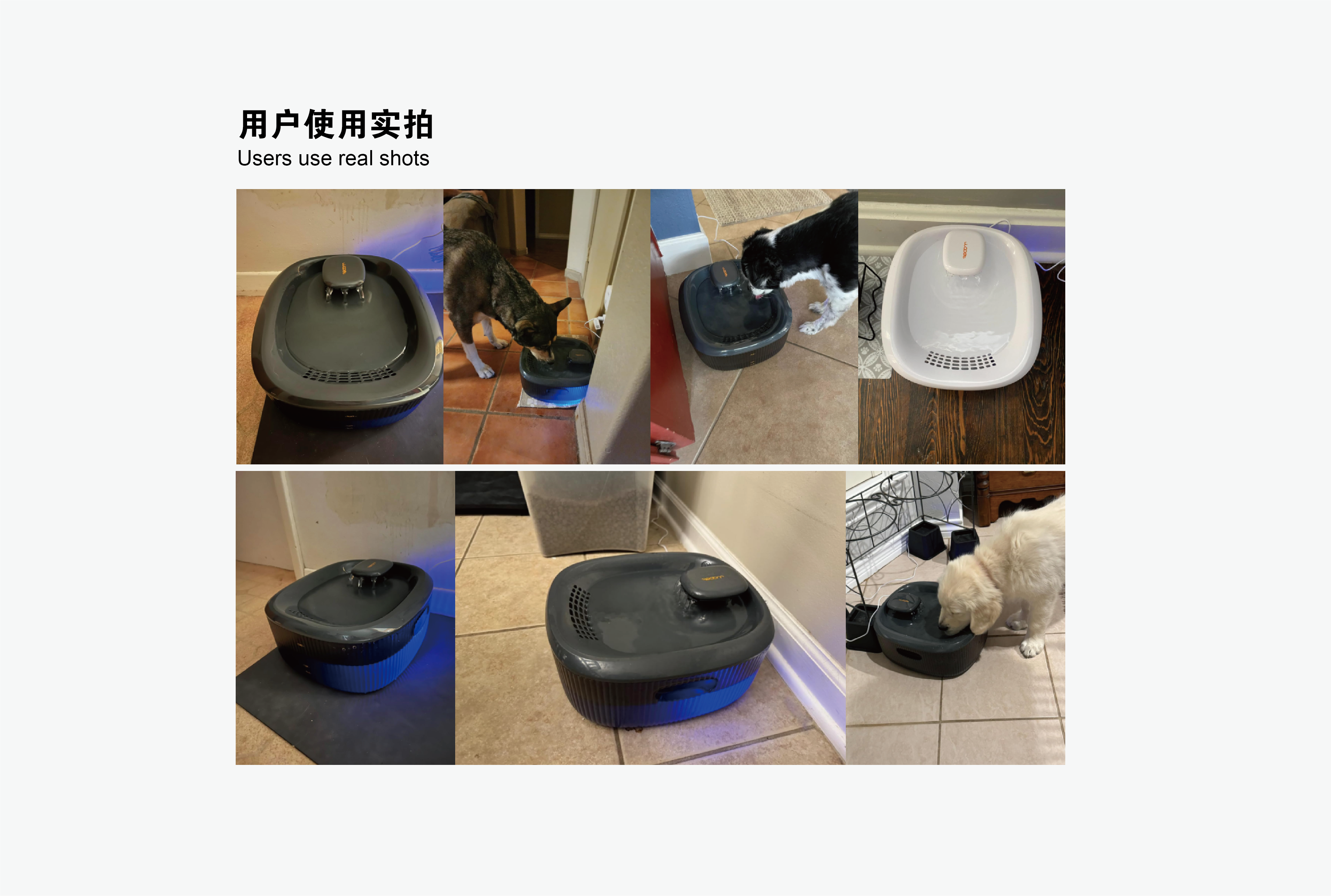 Pet Supplies & Pet，Pet water dispenser，Water feeder，