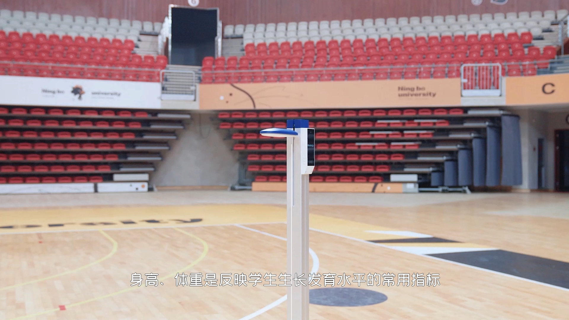 Height and weight, height test, weight test，