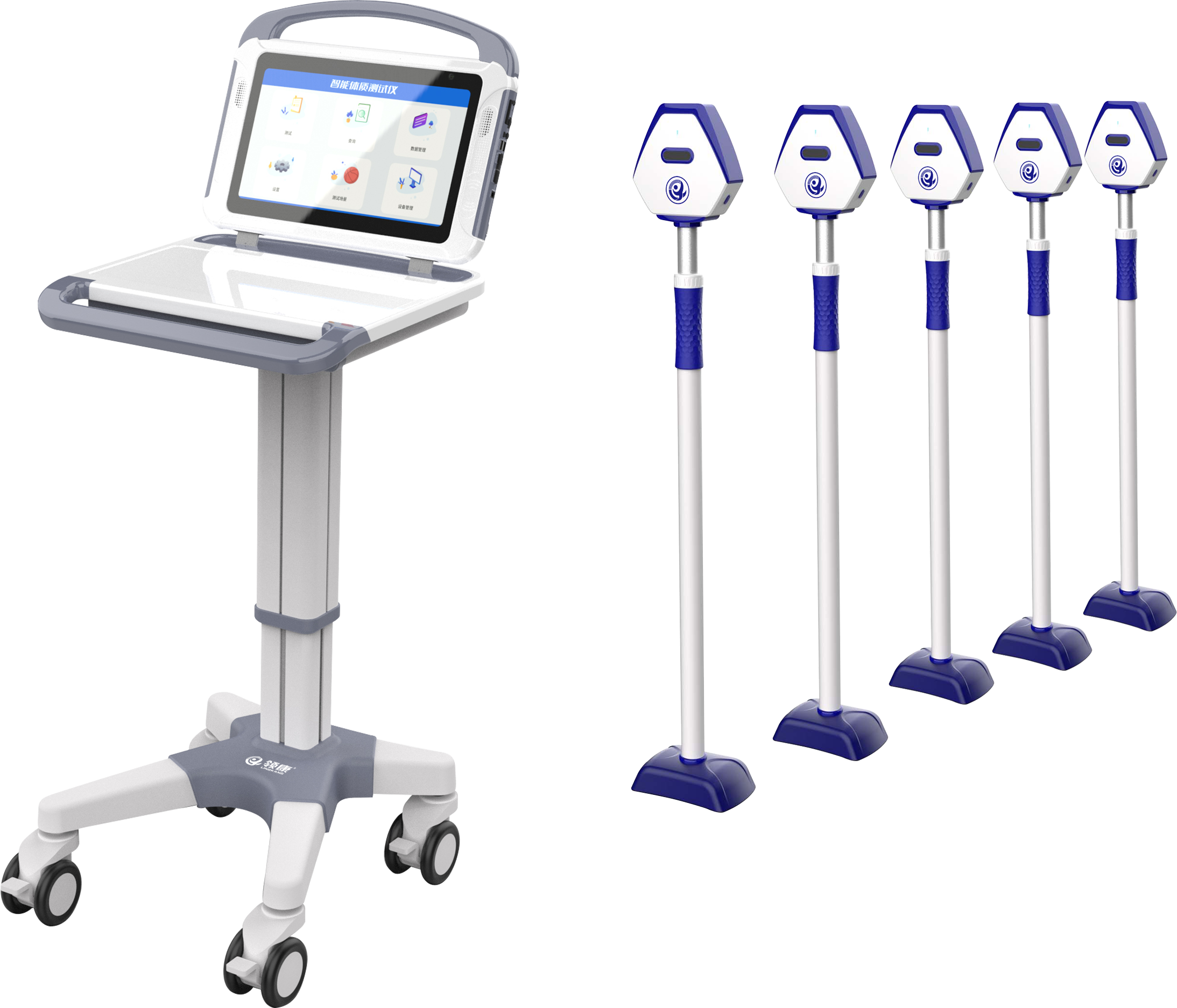 sports test，physical education examination，physical training，data collector，