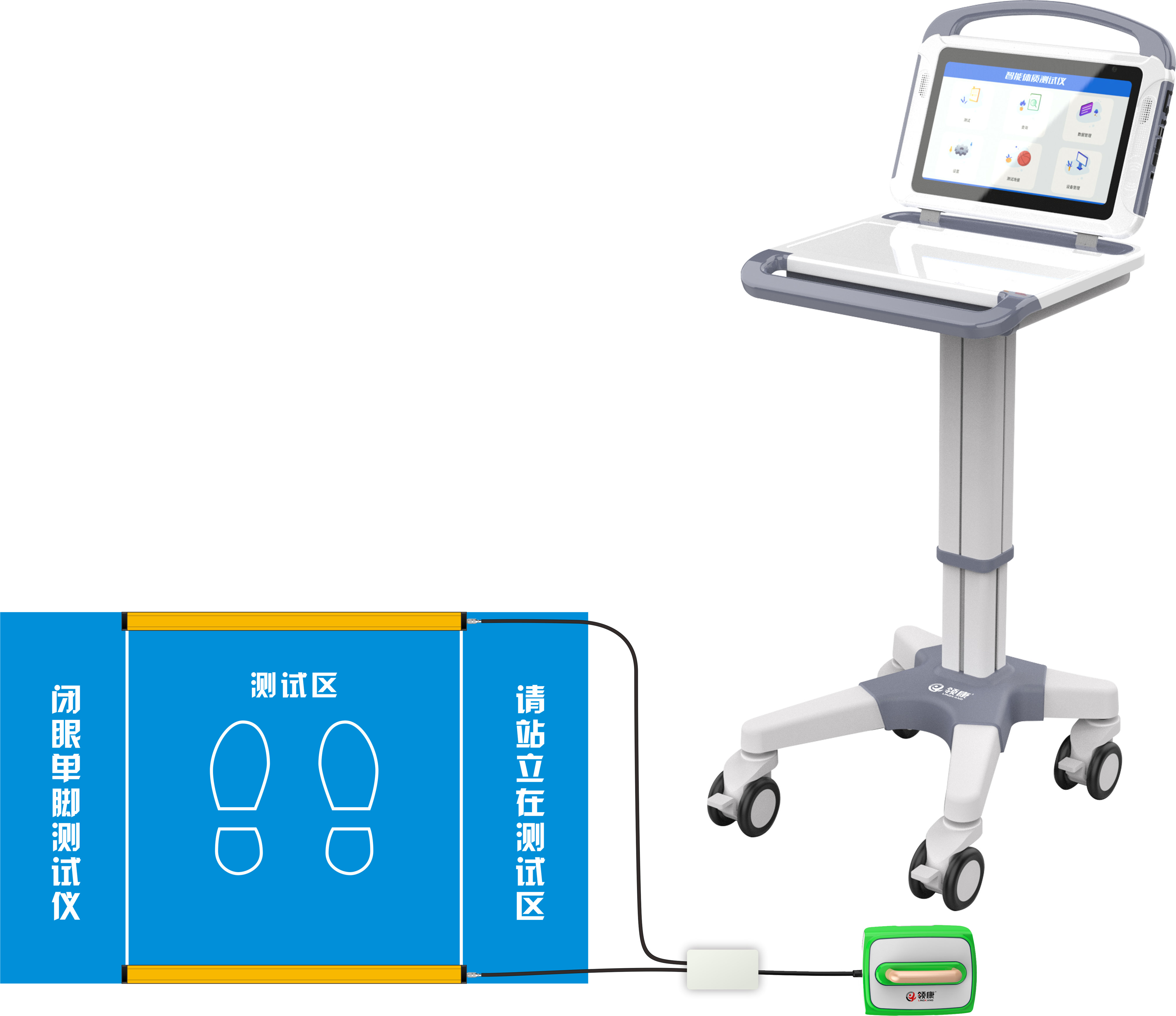 sports test，physical education examination，physical training，data collector，