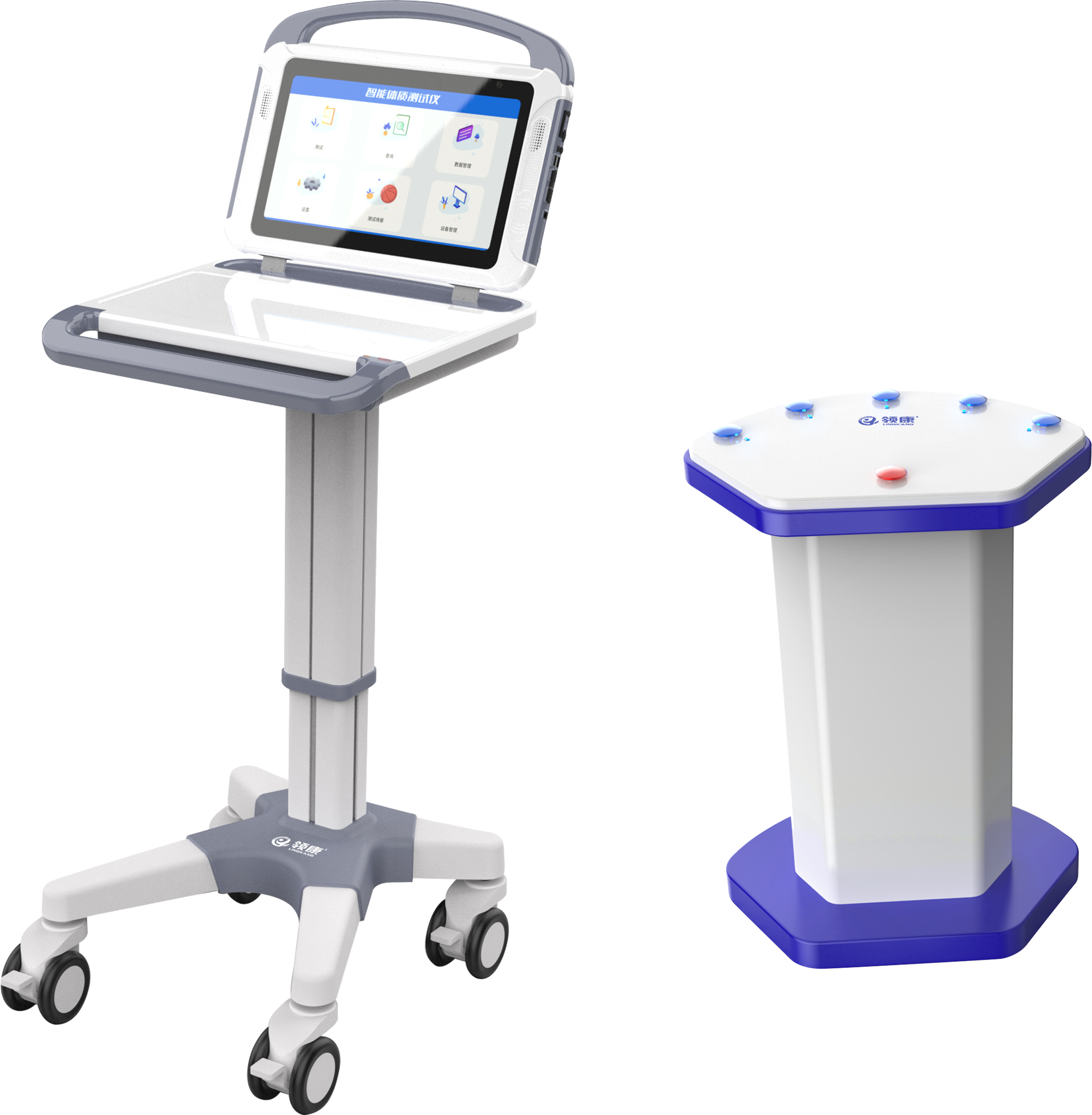 sports test，physical education examination，physical training，data collector，