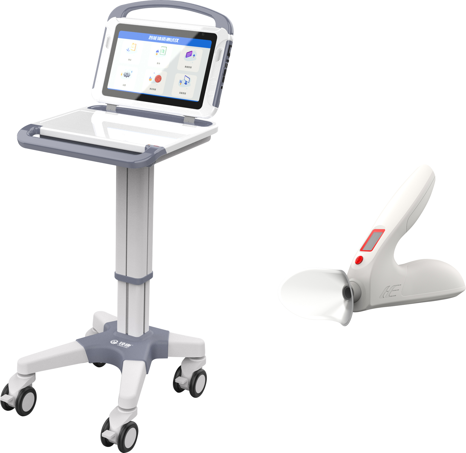 sports test，physical education examination，physical training，data collector，