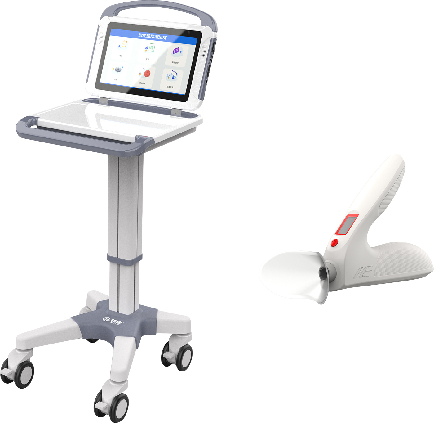 sports test，physical education examination，physical training，data collector，