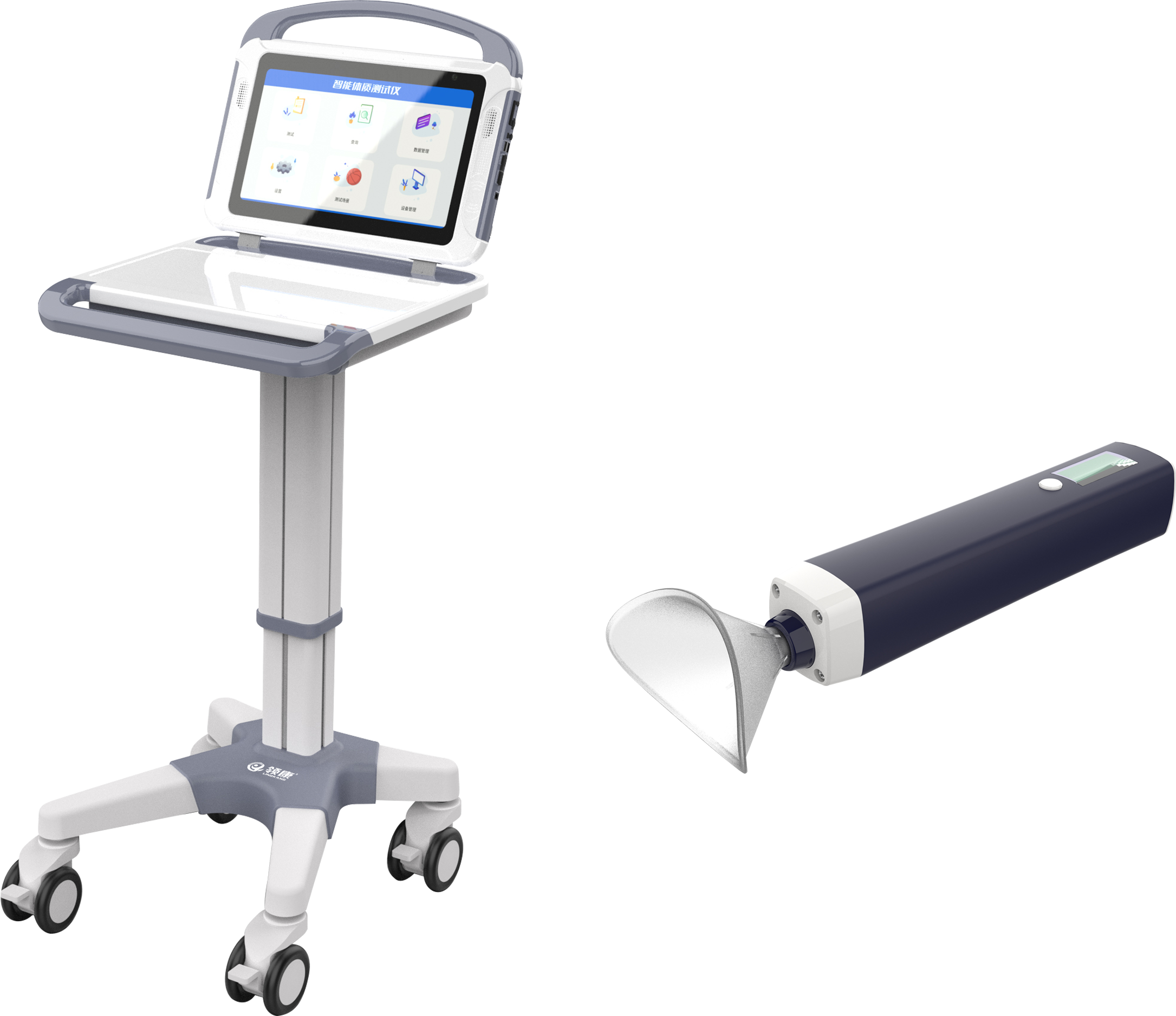 sports test，physical education examination，physical training，data collector，