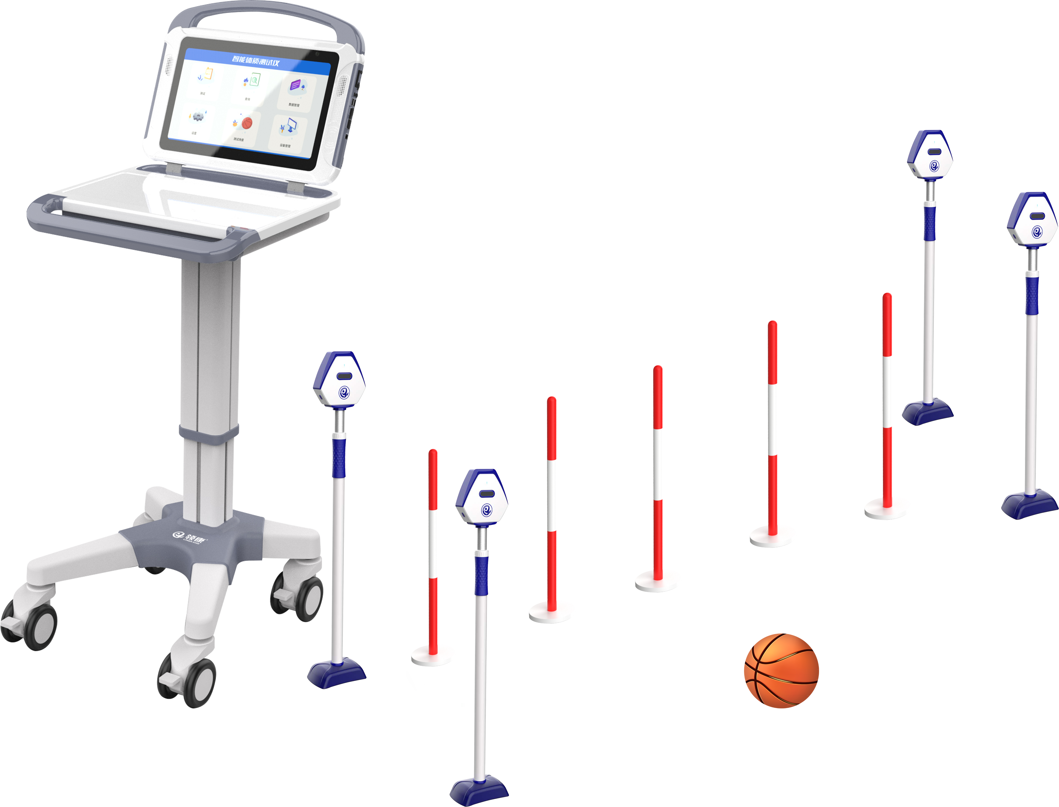 sports test，physical education examination，physical training，data collector，