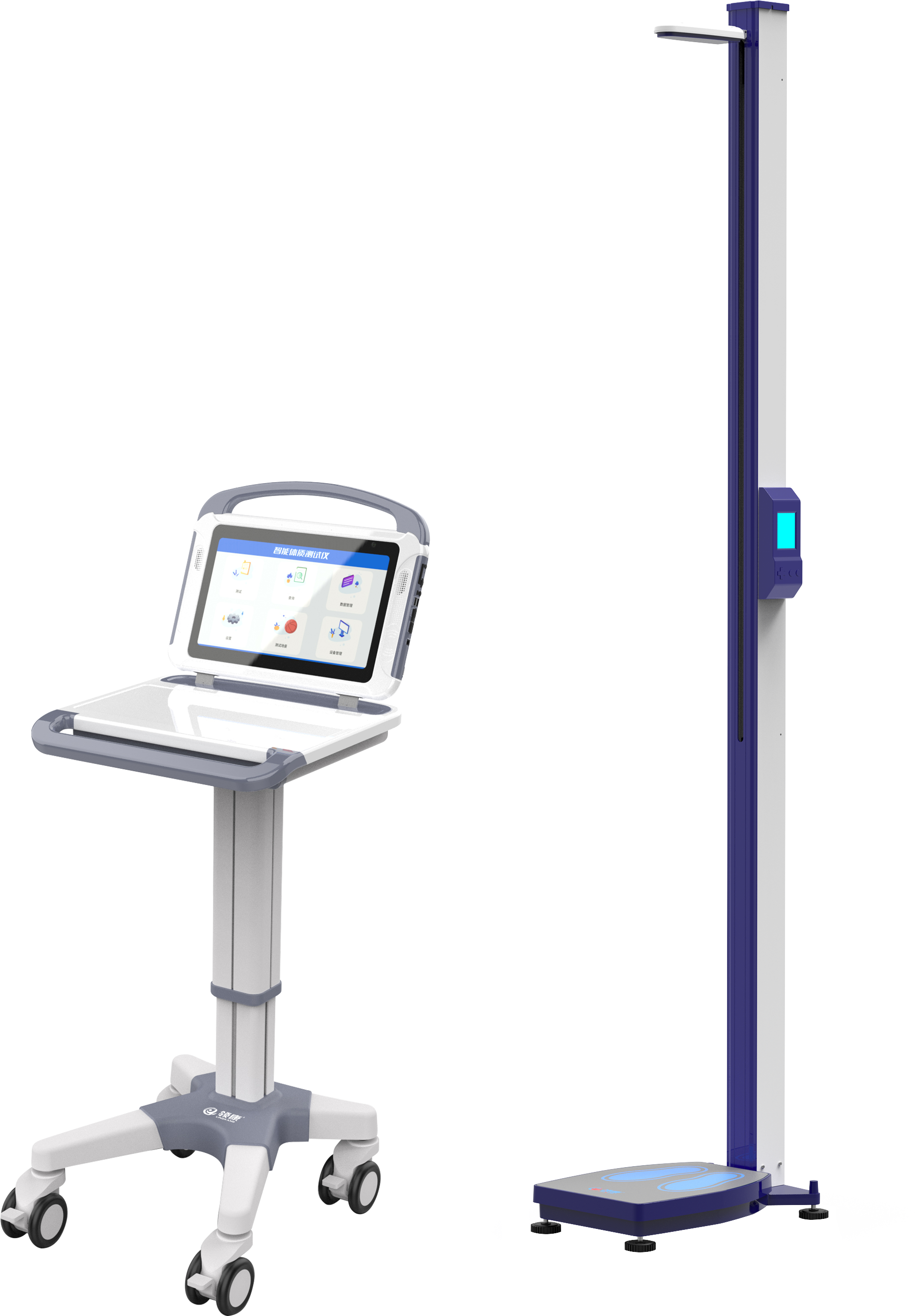 sports test，physical education examination，physical training，data collector，