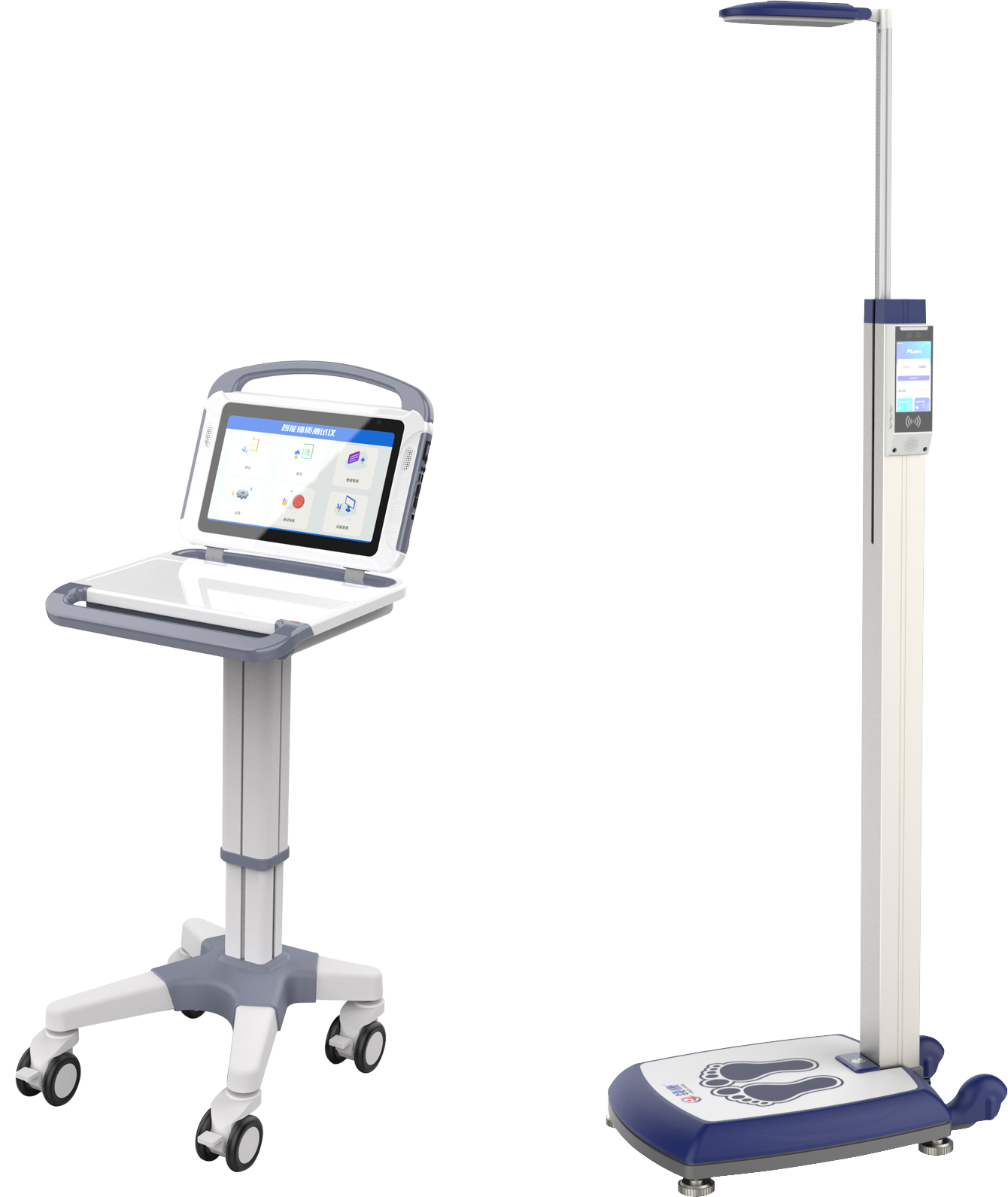 sports test，physical education examination，physical training，data collector，