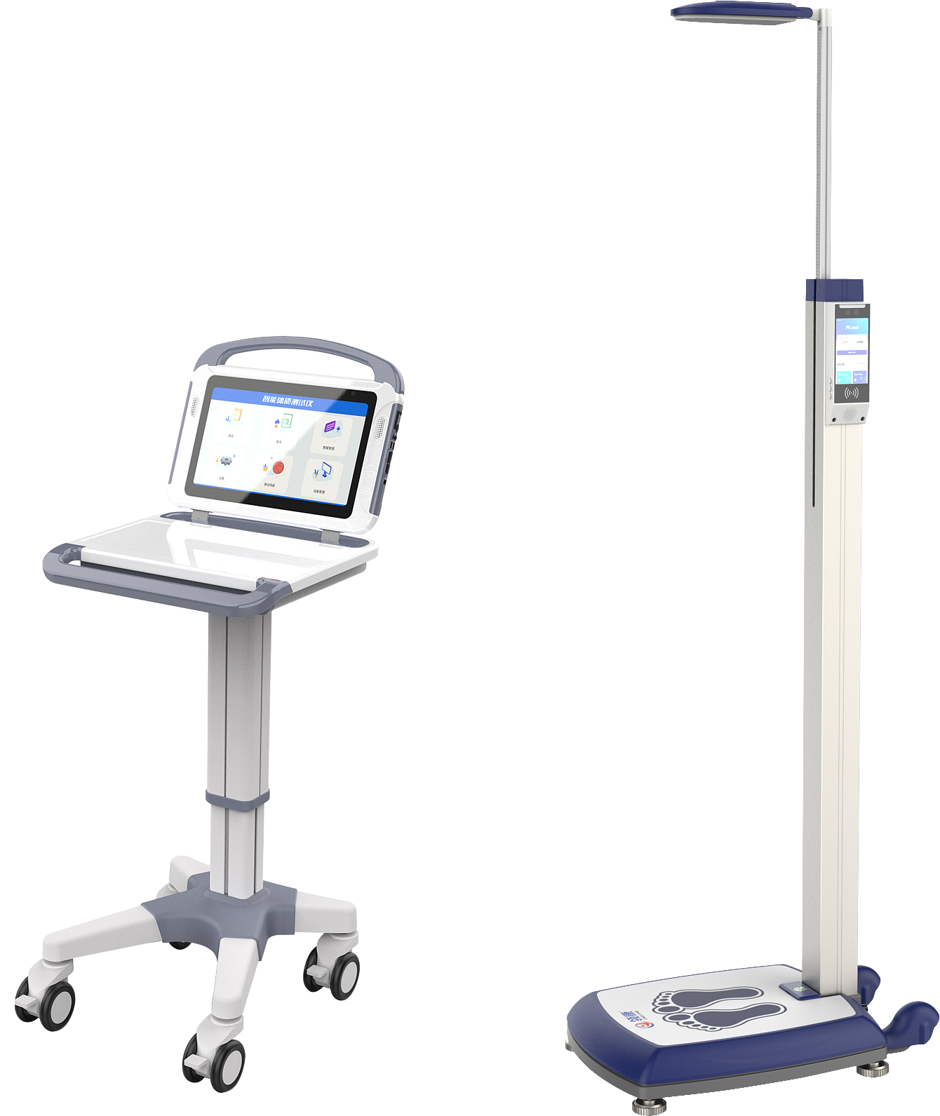 sports test，physical education examination，physical training，data collector，