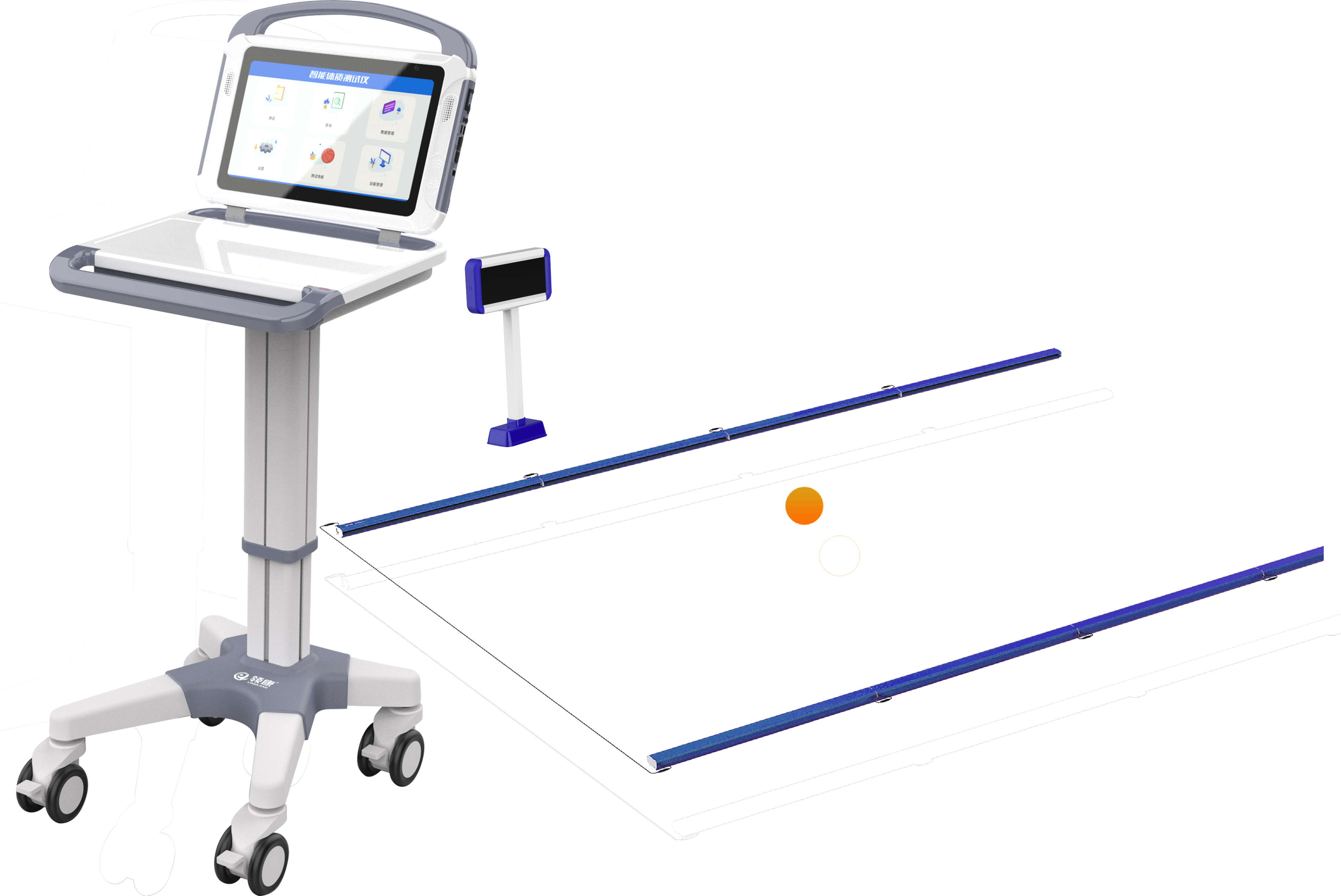 sports test，physical education examination，physical training，data collector，