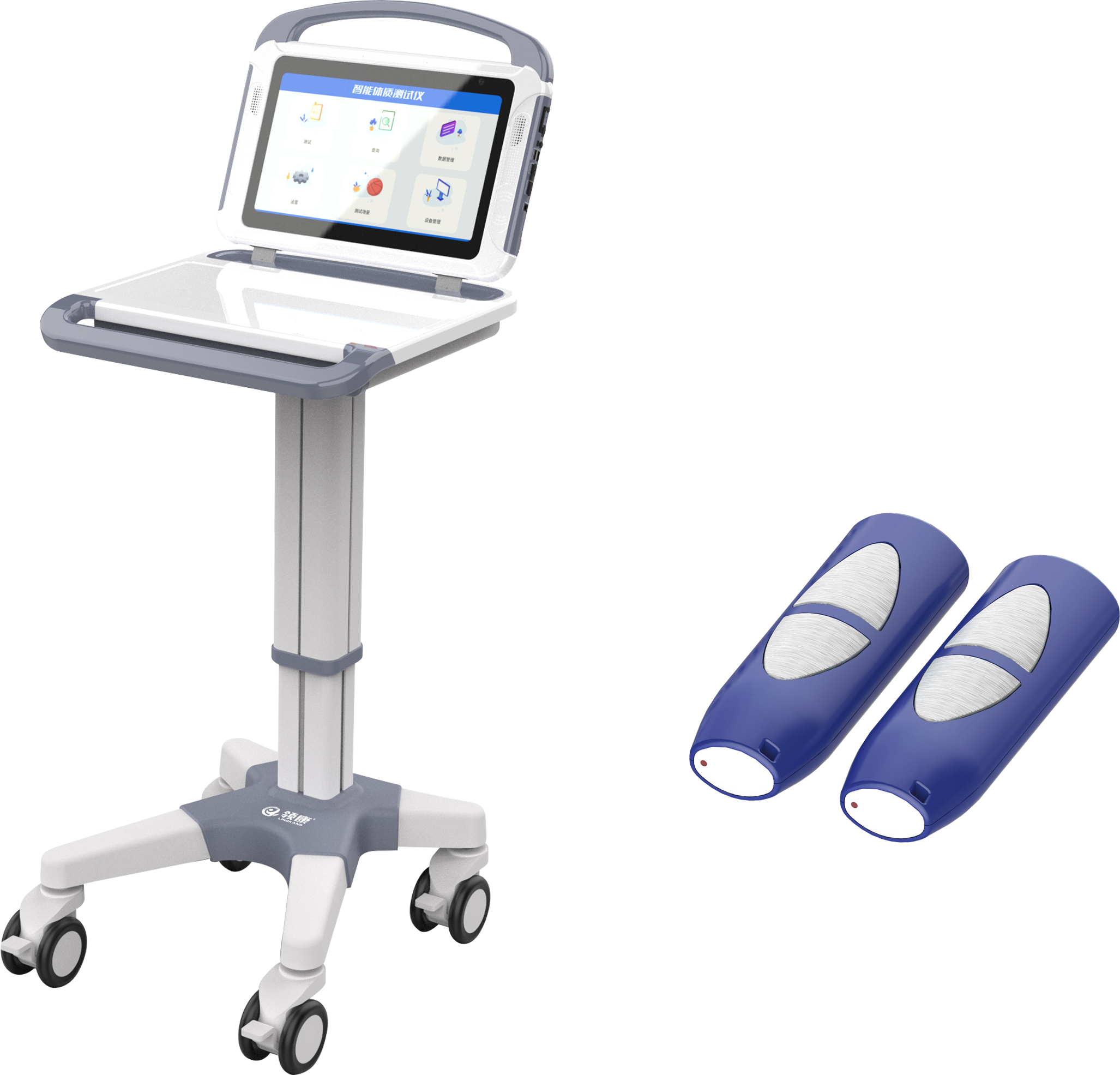 sports test，physical education examination，physical training，data collector，