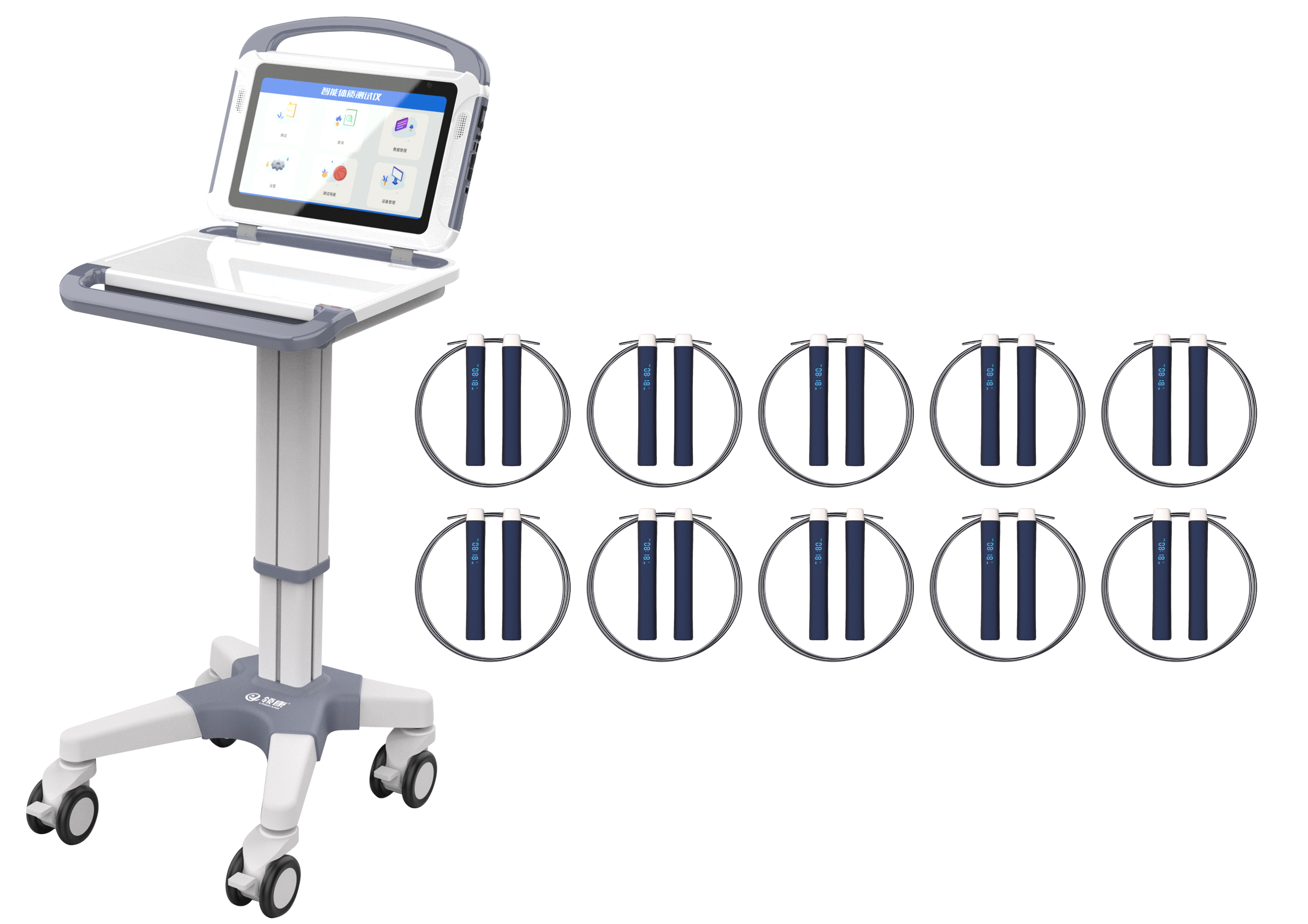 sports test，physical education examination，physical training，data collector，