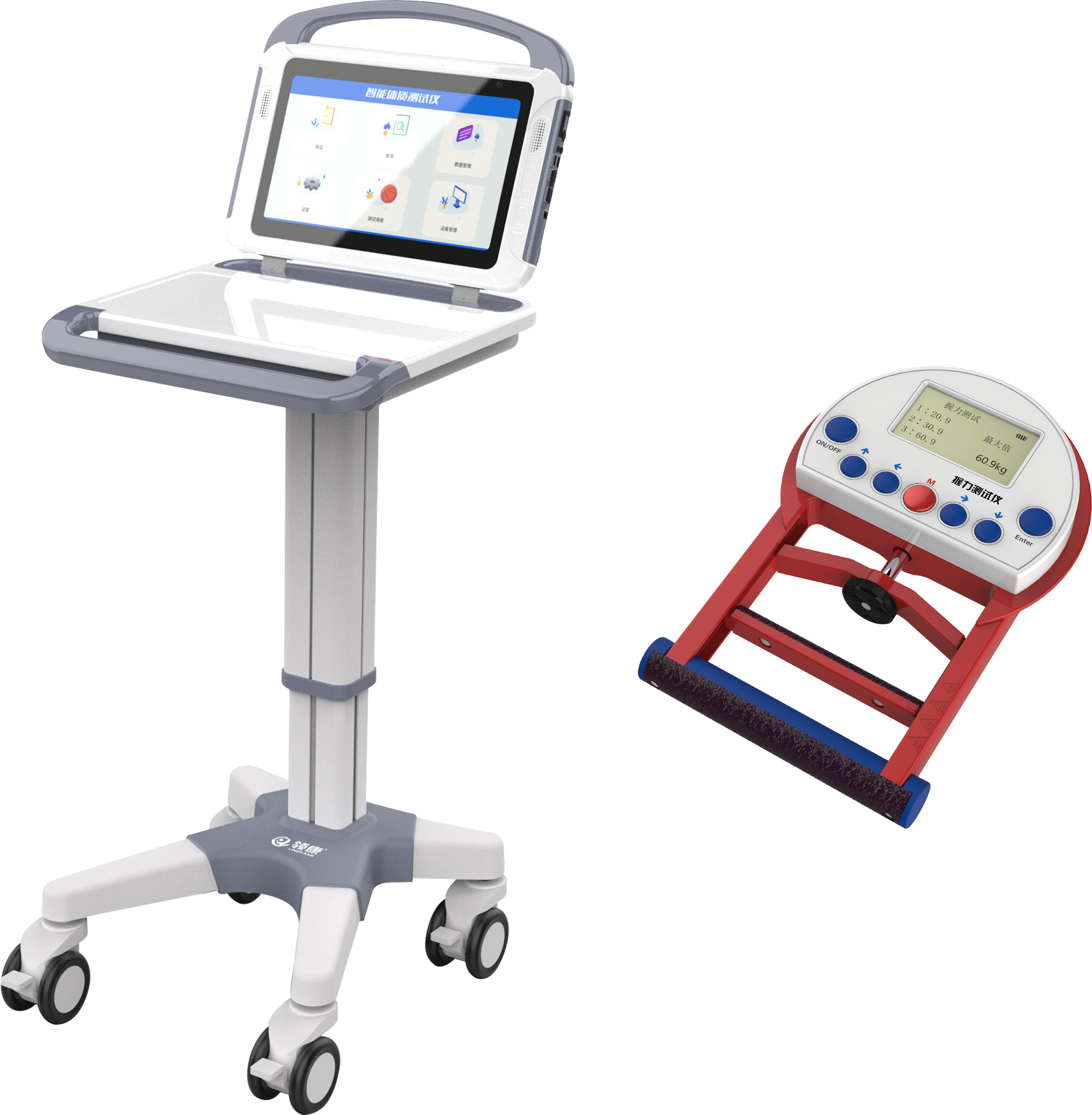 sports test，physical education examination，physical training，data collector，