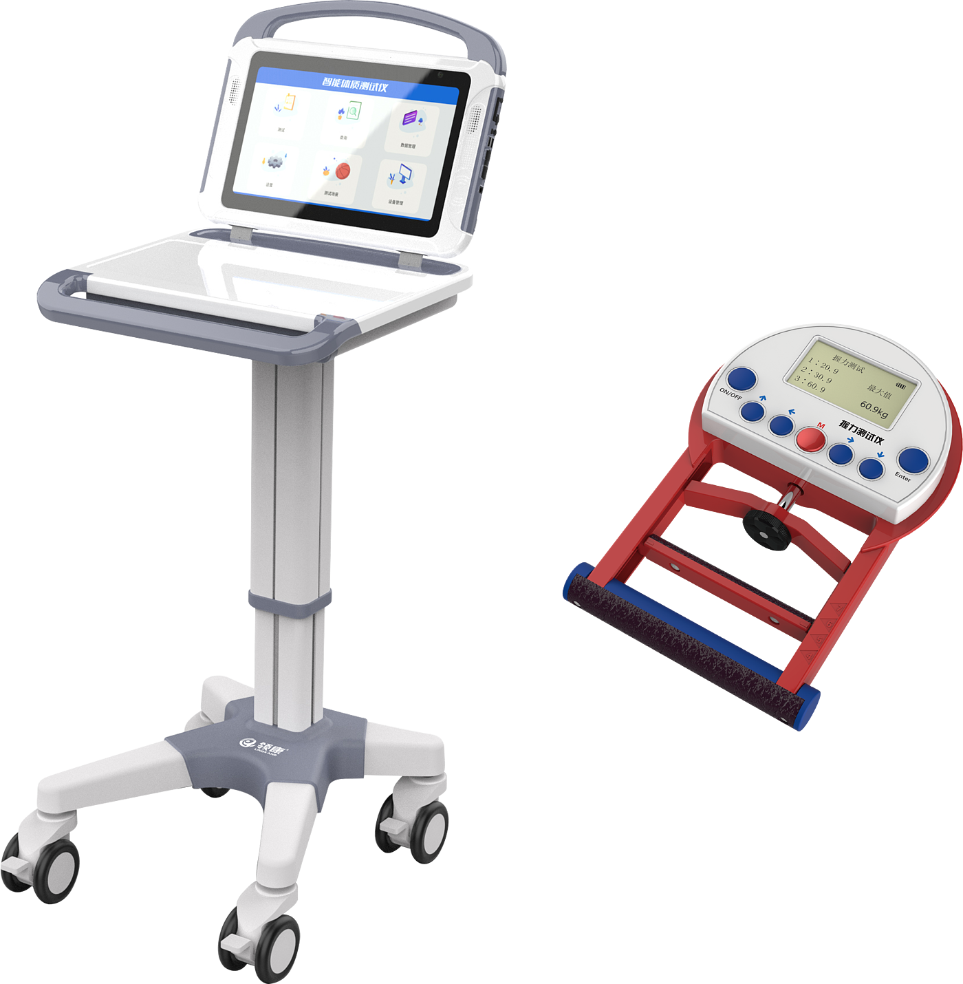 sports test，physical education examination，physical training，data collector，