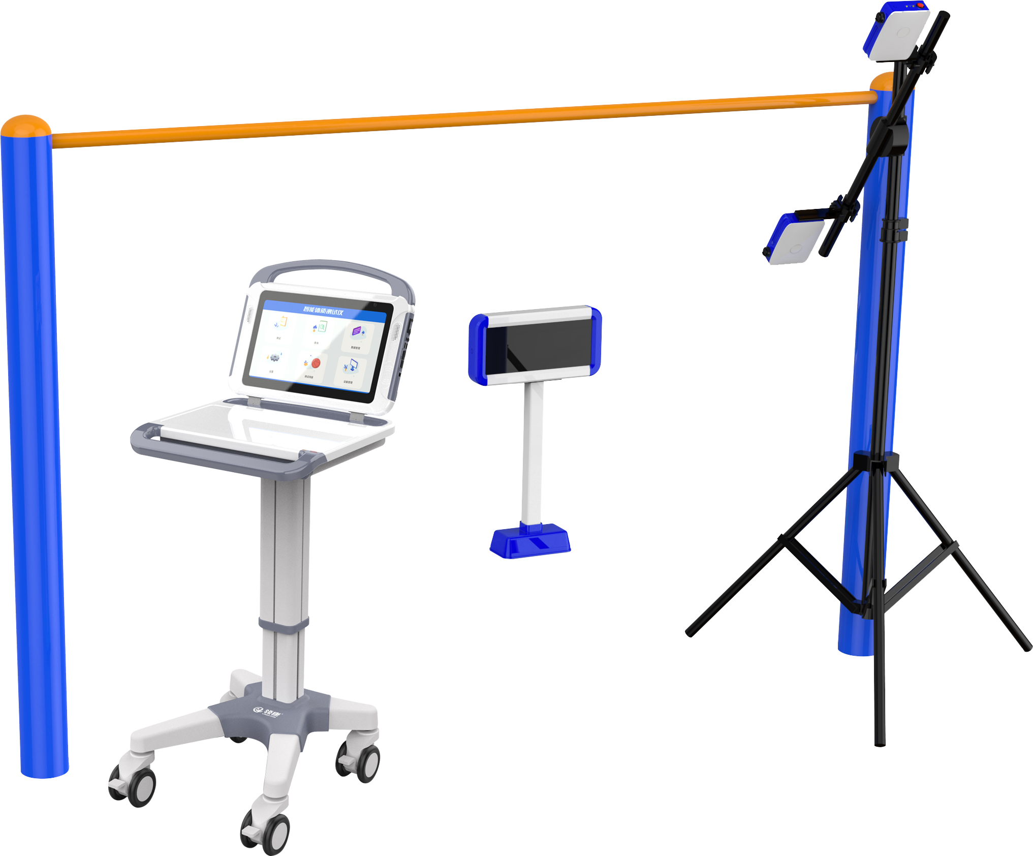 sports test，physical education examination，physical training，data collector，