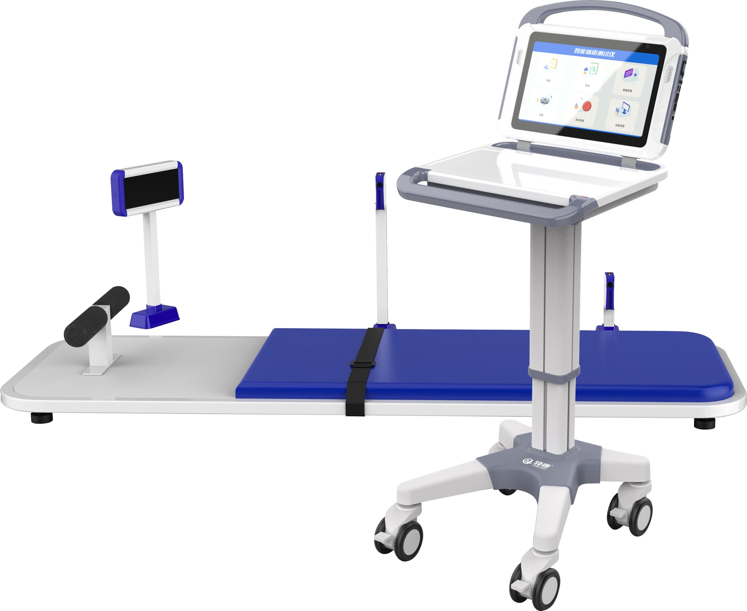 sports test，physical education examination，physical training，data collector，