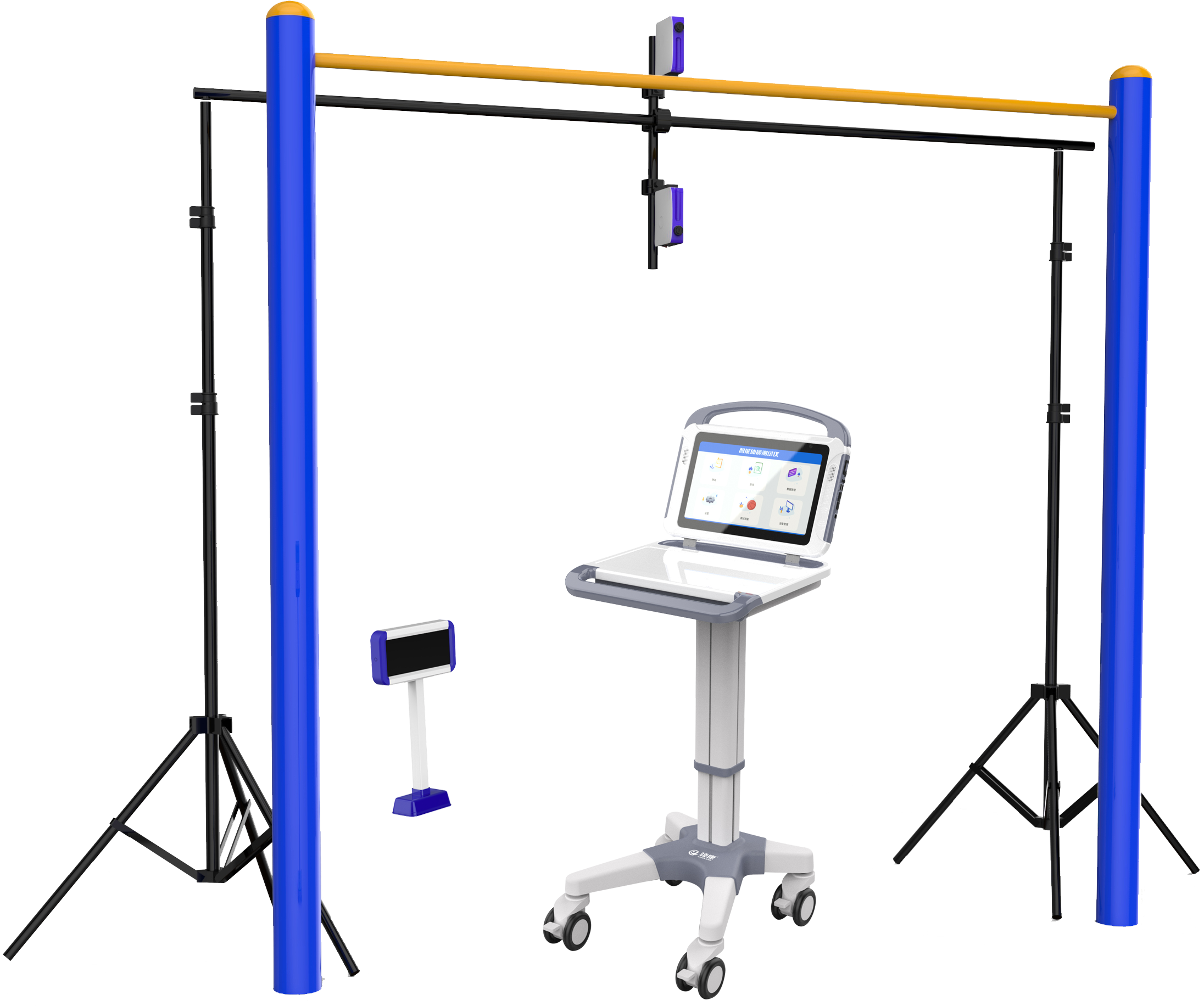 sports test，physical education examination，physical training，data collector，