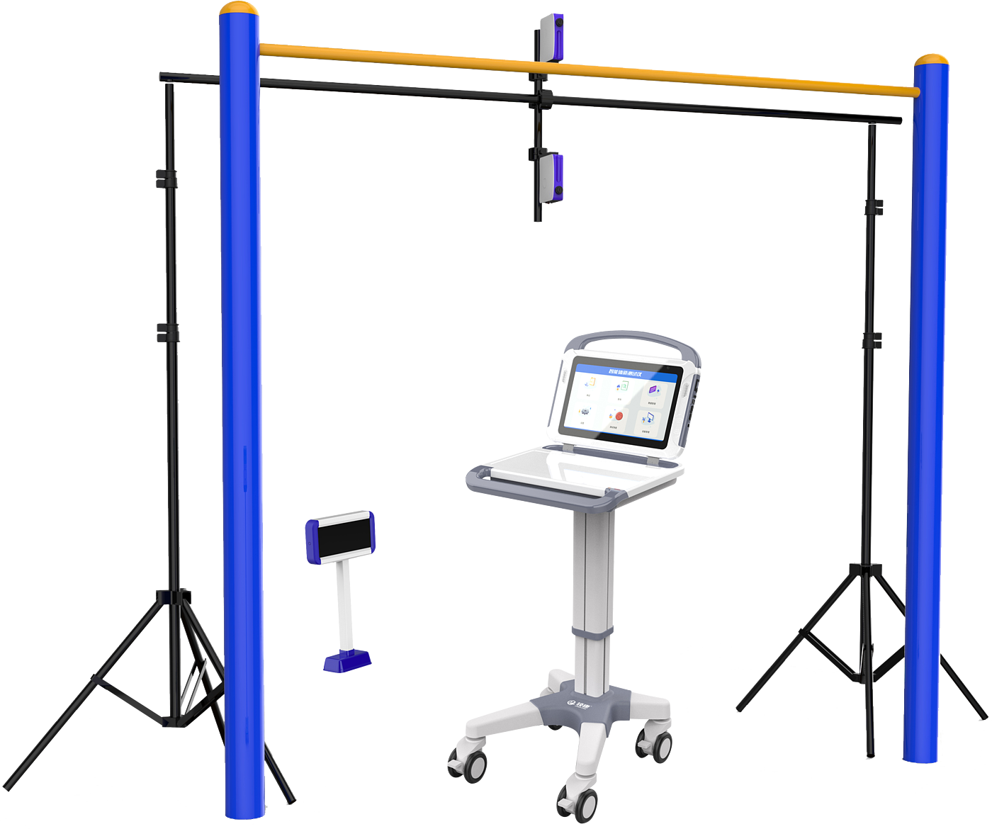 sports test，physical education examination，physical training，data collector，