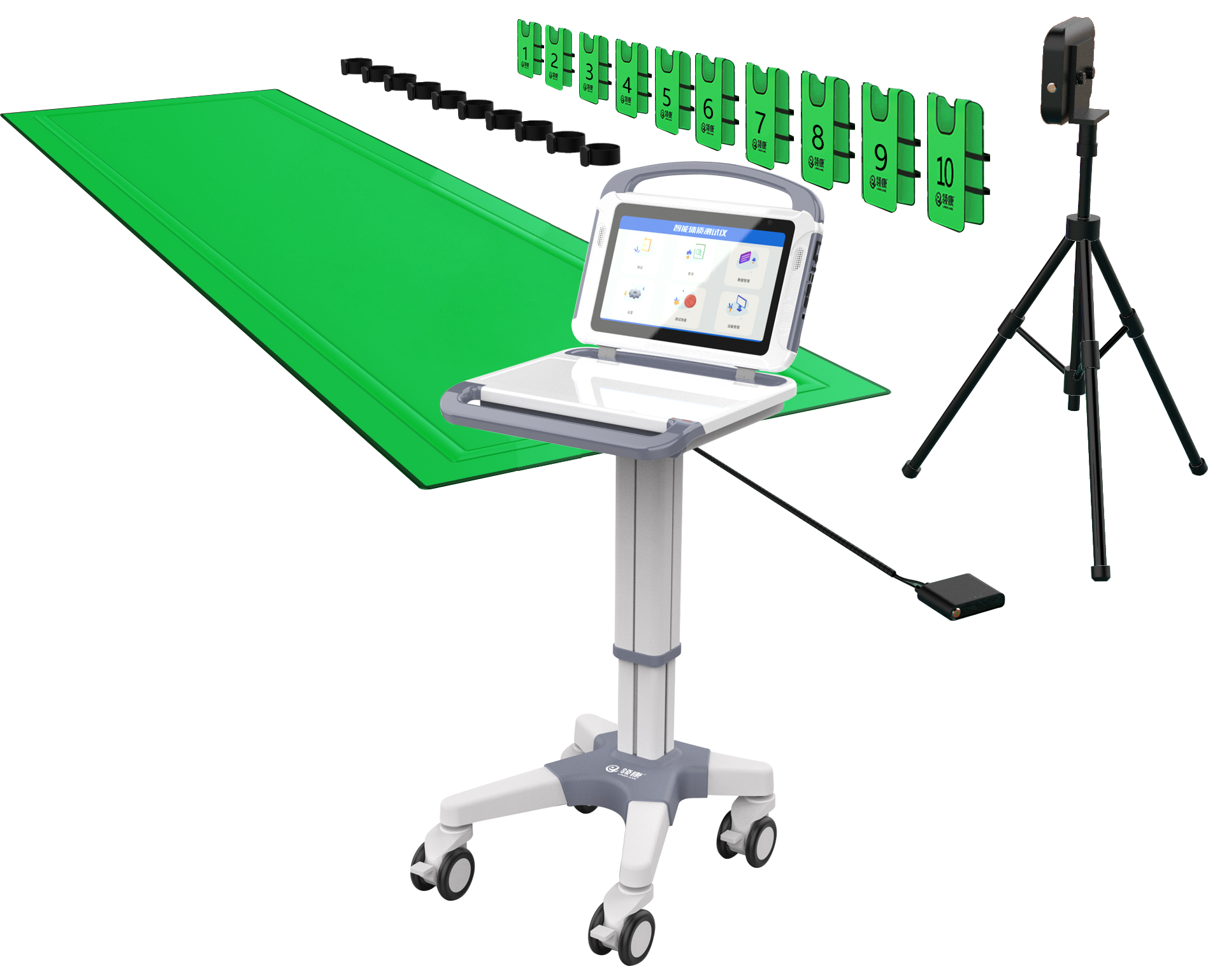 sports test，physical education examination，physical training，data collector，