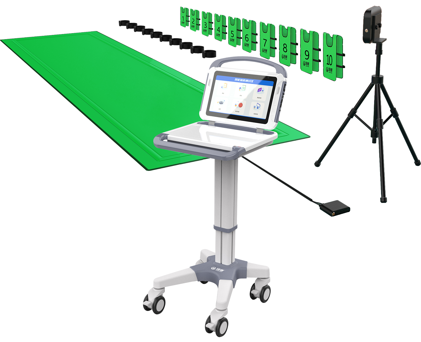 sports test，physical education examination，physical training，data collector，