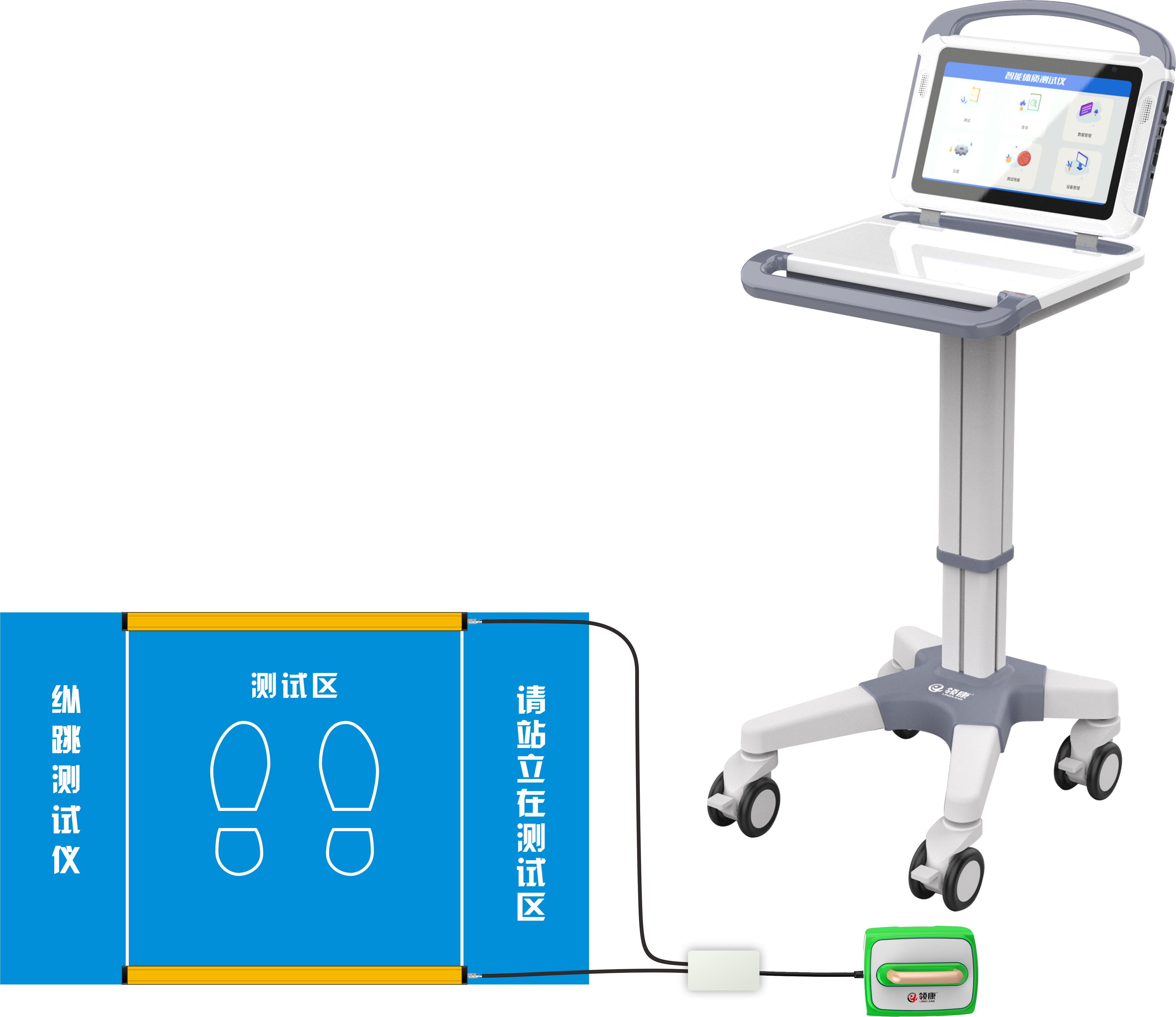 sports test，physical education examination，physical training，data collector，