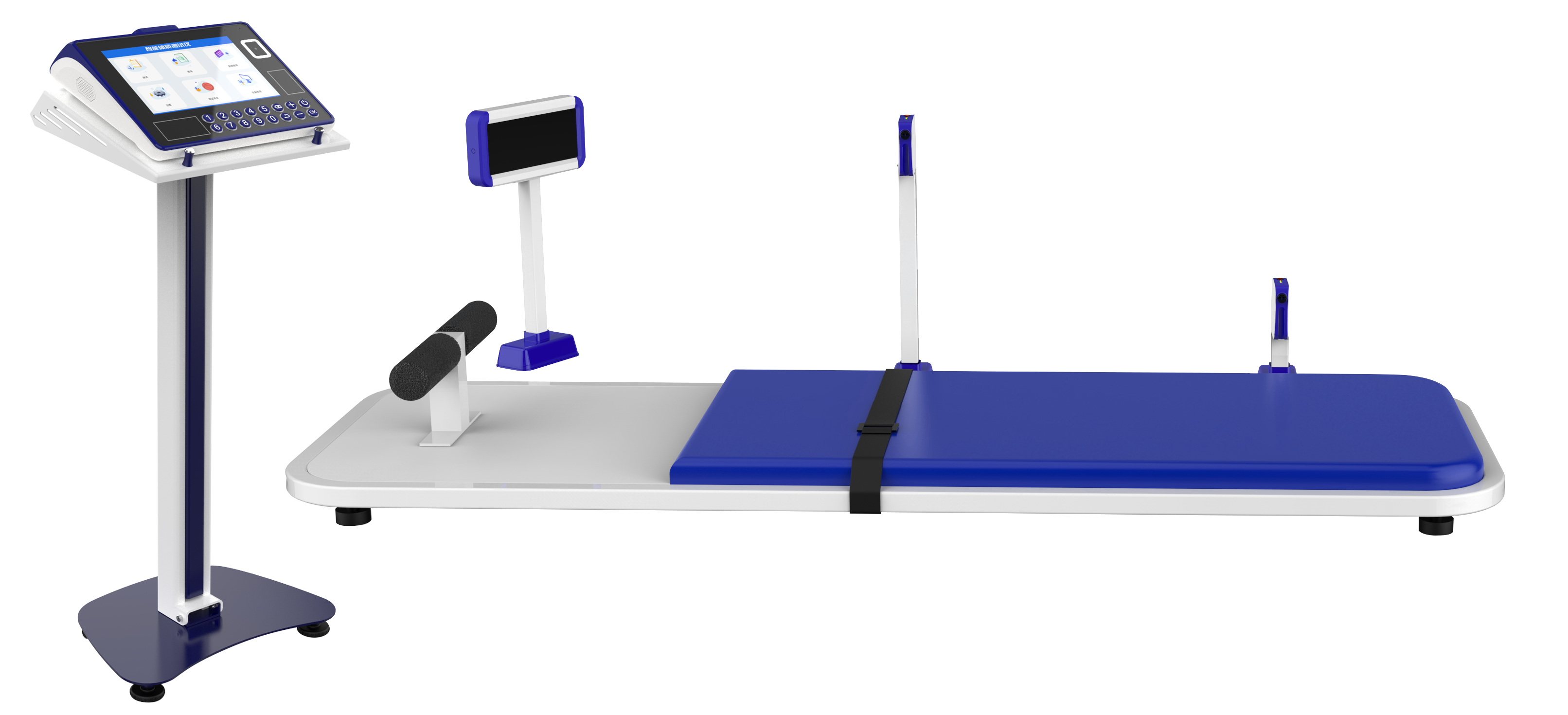 physical education examination，physical examination，Physical Assessment，intelligence，