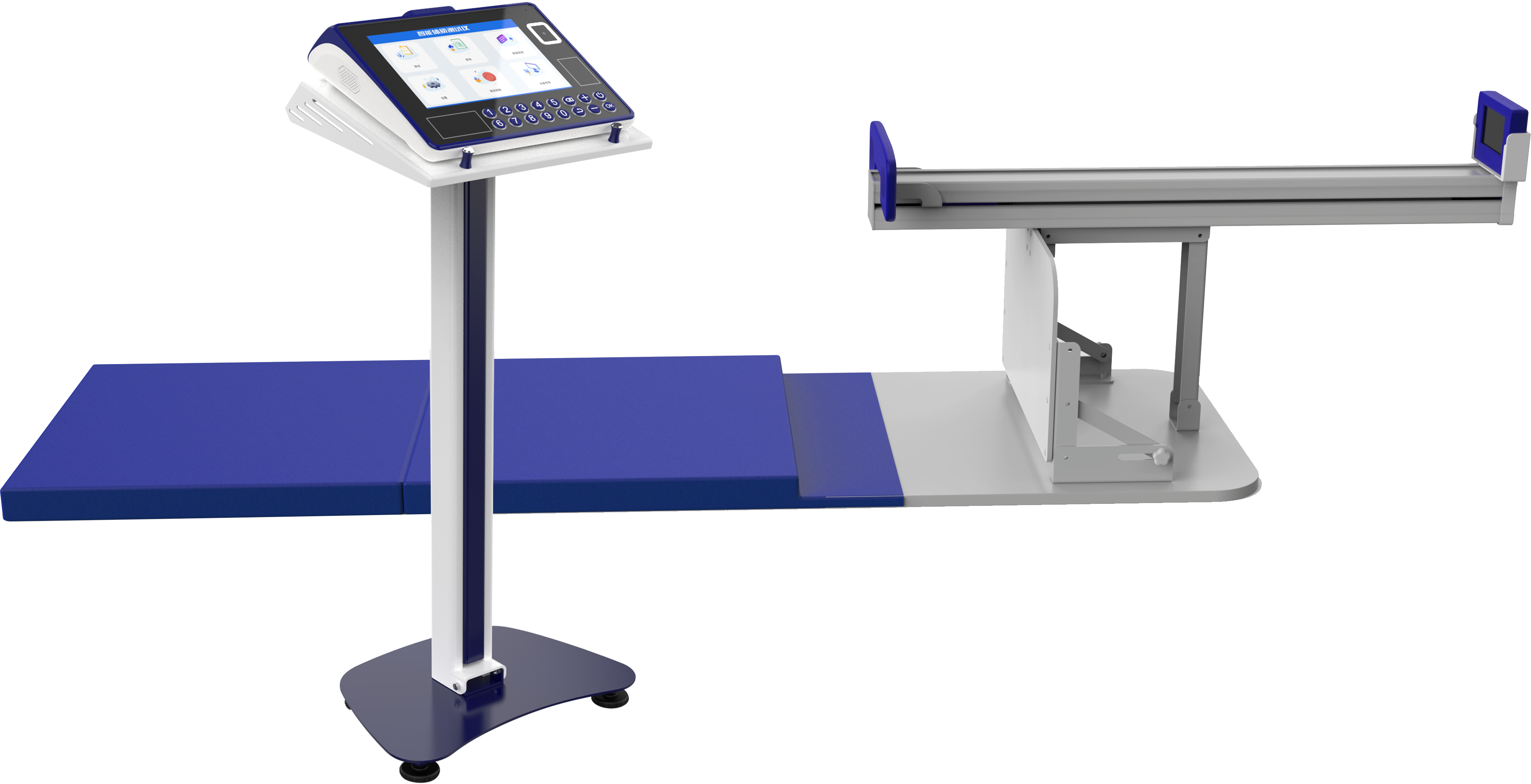 physical education examination，physical examination，Physical Assessment，intelligence，