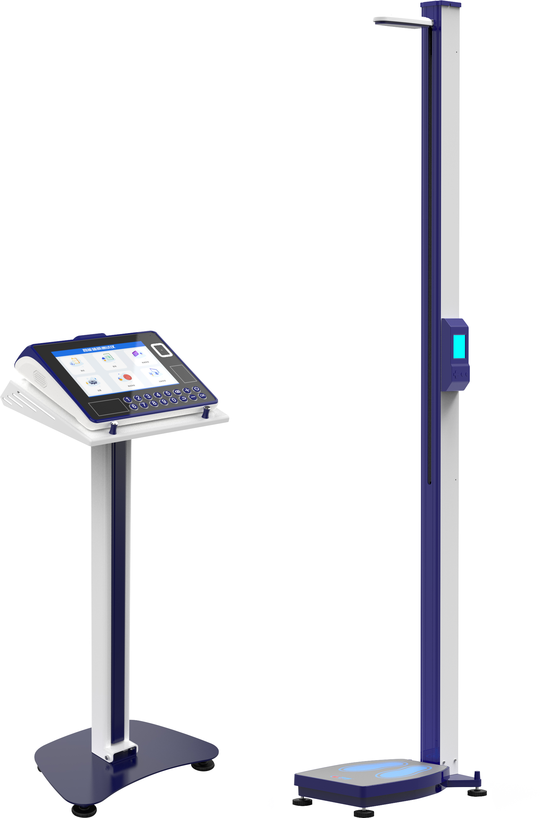 physical education examination，physical examination，Physical Assessment，intelligence，