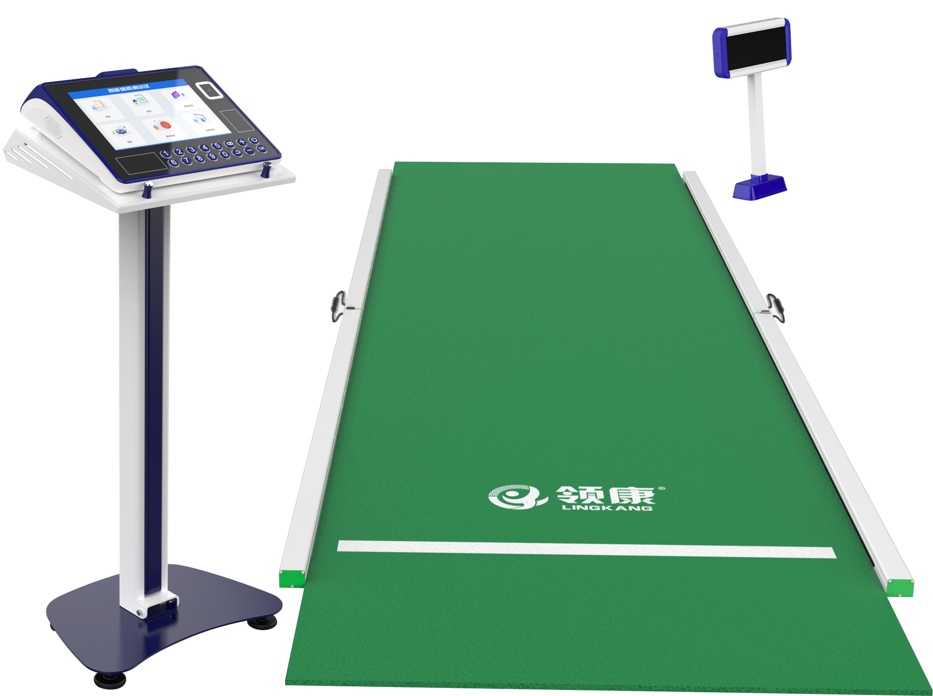 physical education examination，physical examination，Physical Assessment，intelligence，